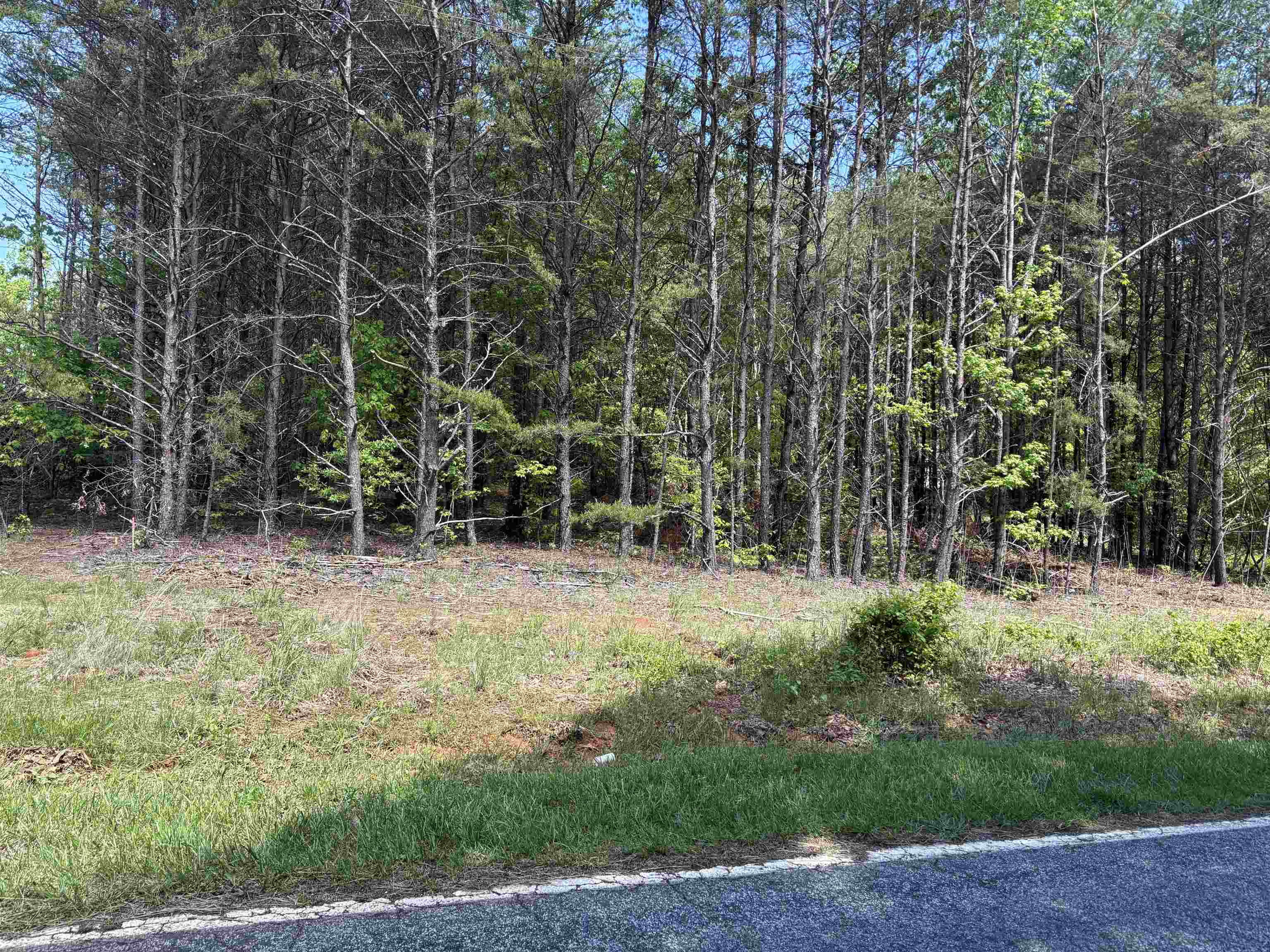 323123 Property Photo 3