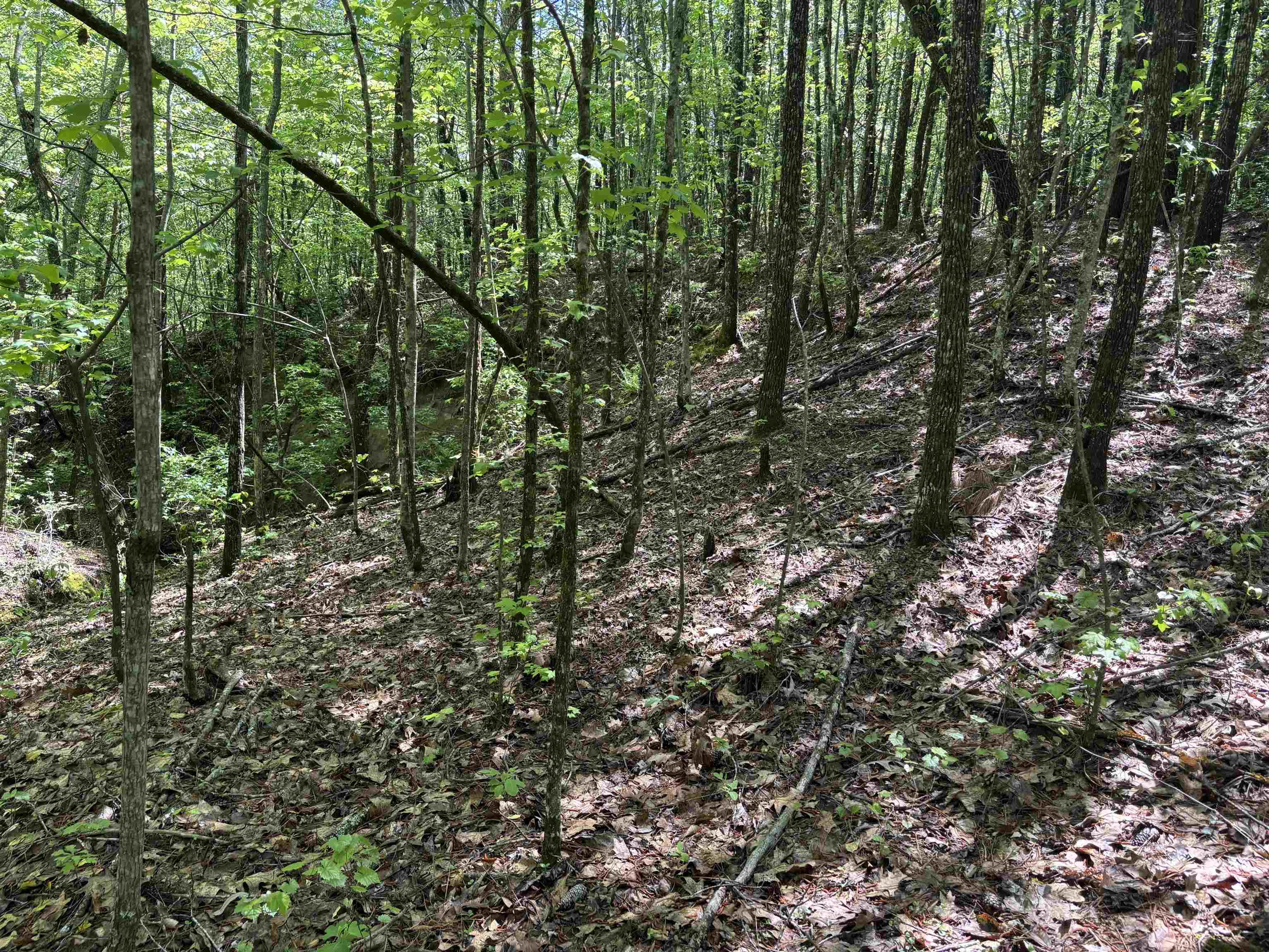 323123 Property Photo 11