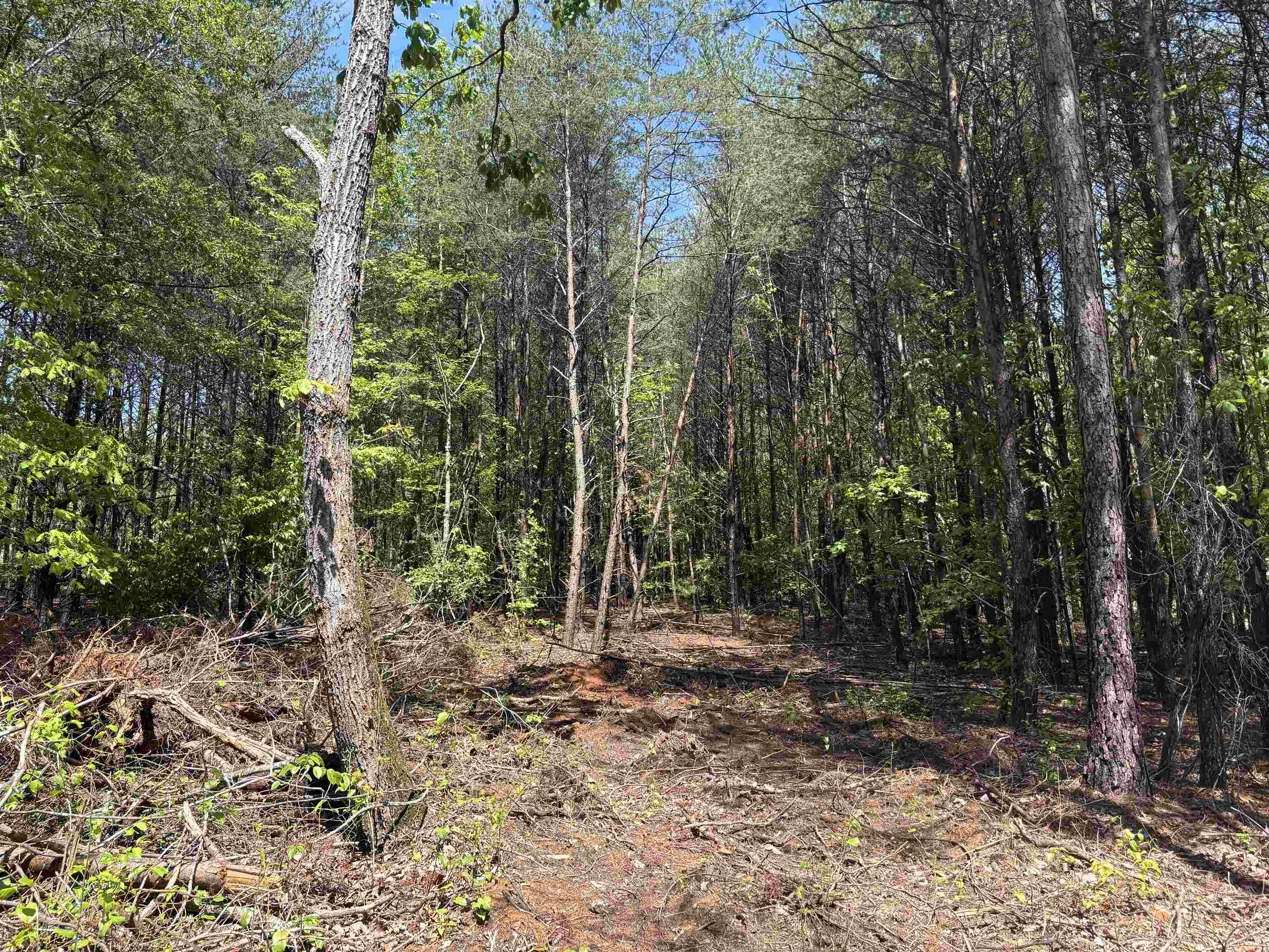 323123 Property Photo 16