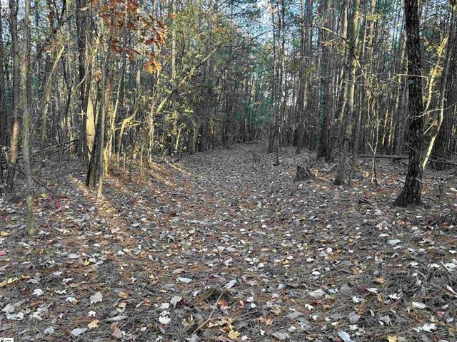323123 Property Photo 20
