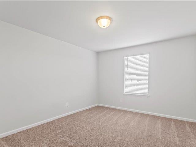2054 Zanes Creek Drive Property Photo 34