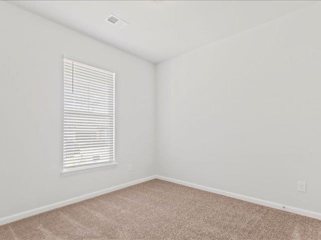2054 Zanes Creek Drive Property Photo 38