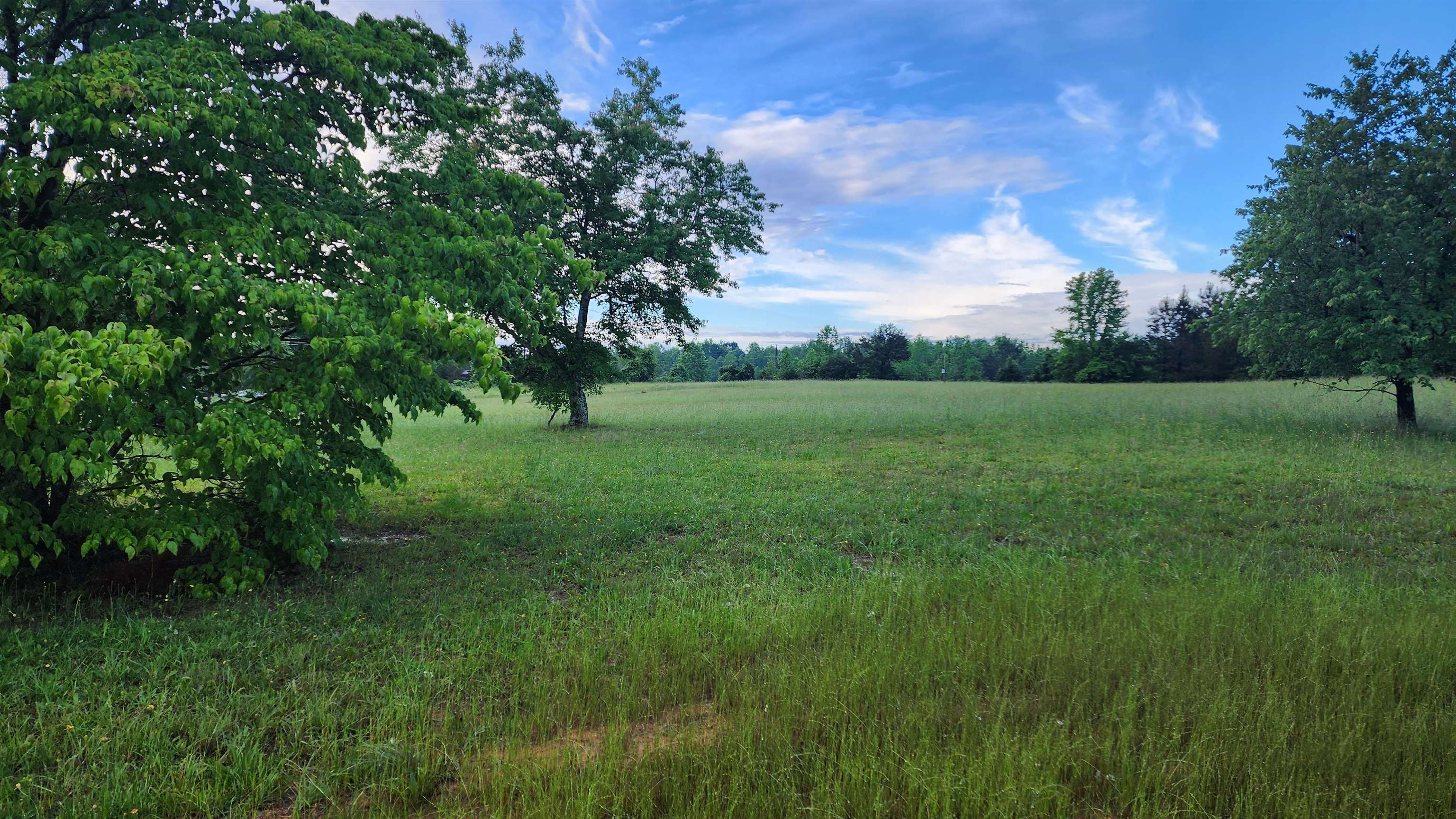323902 Property Photo 1