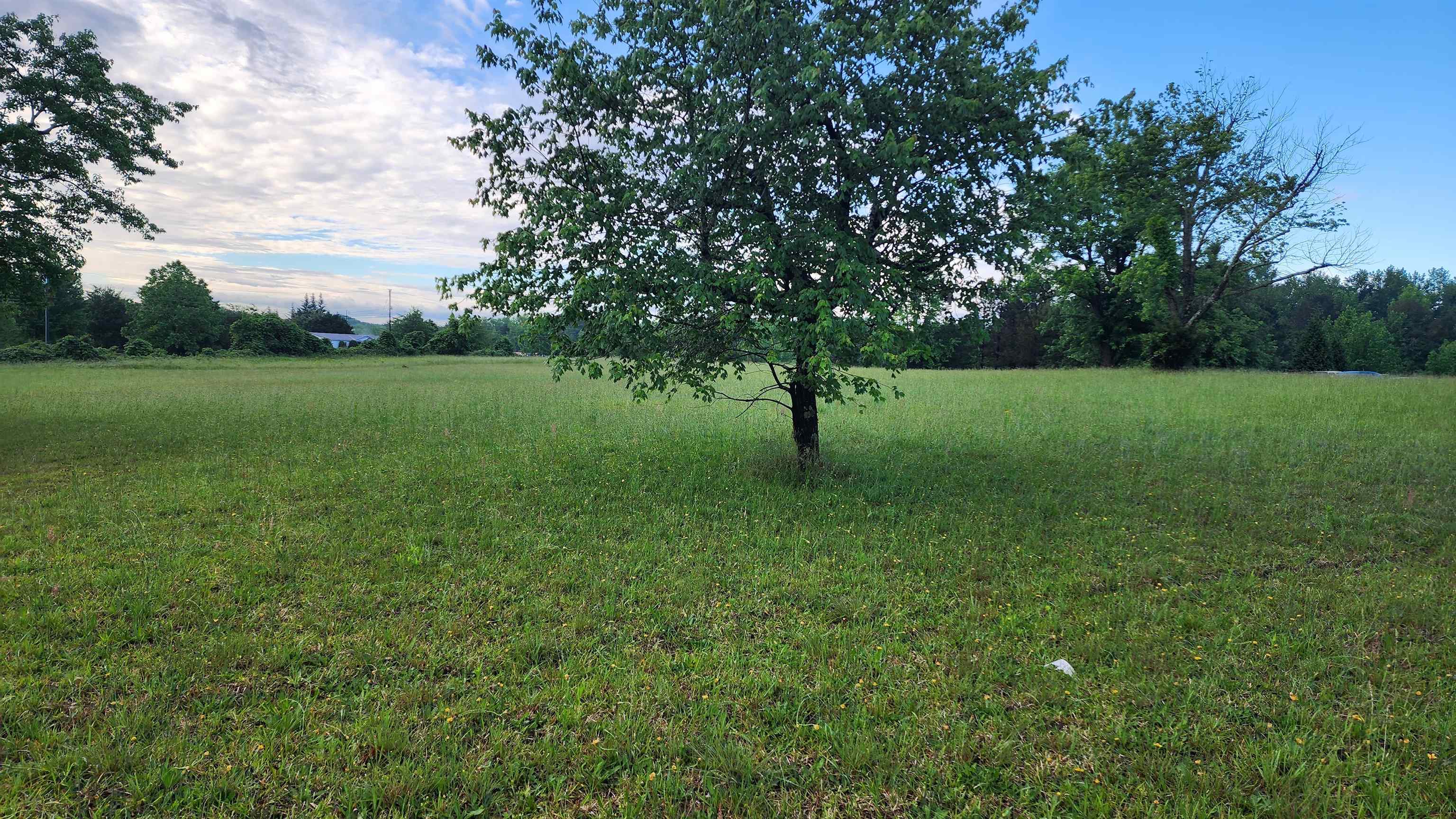 323911 Property Photo 1