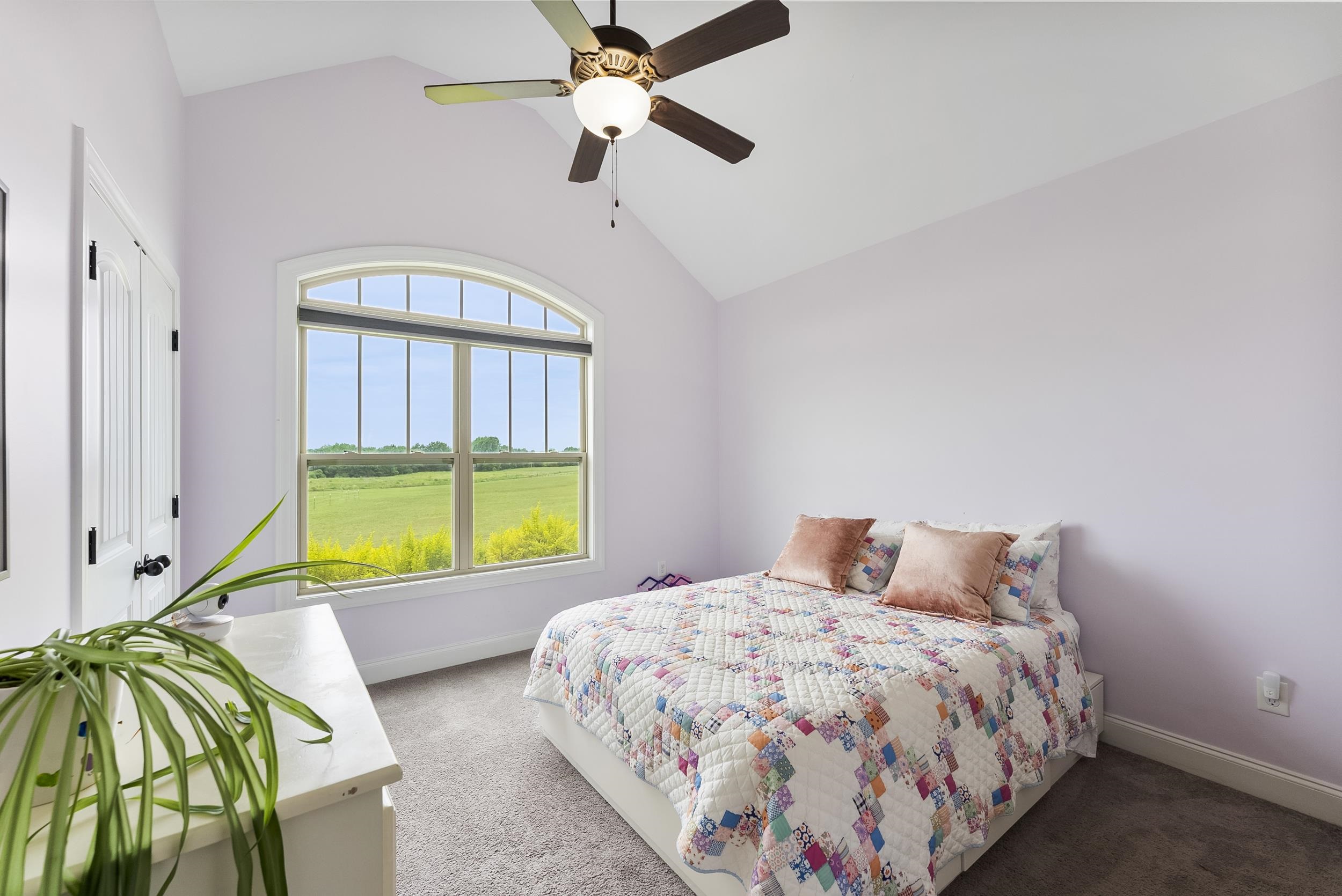 262 Grassy Pond Creek Road Property Photo 17