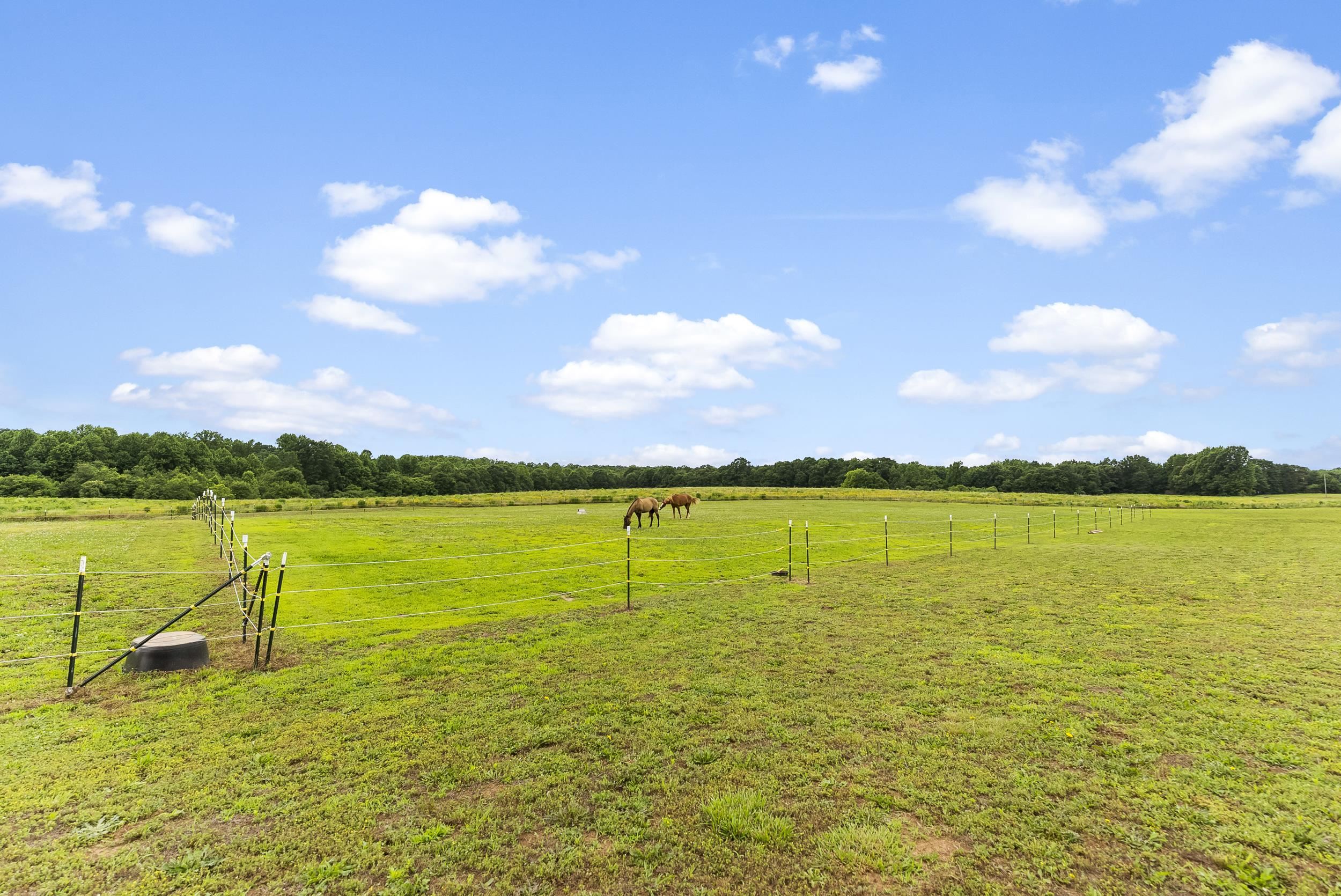 262 Grassy Pond Creek Road Property Photo 24