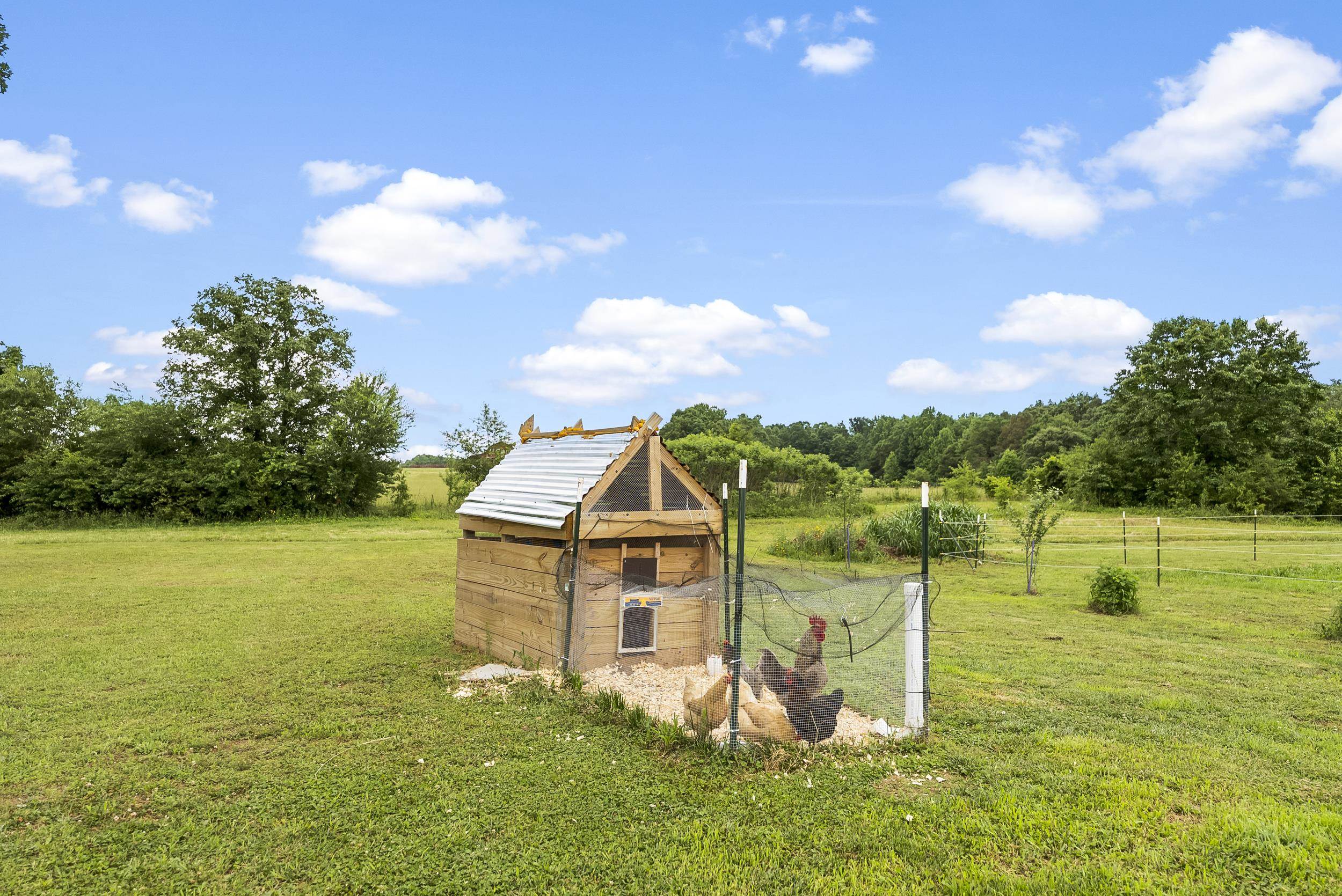 262 Grassy Pond Creek Road Property Photo 25