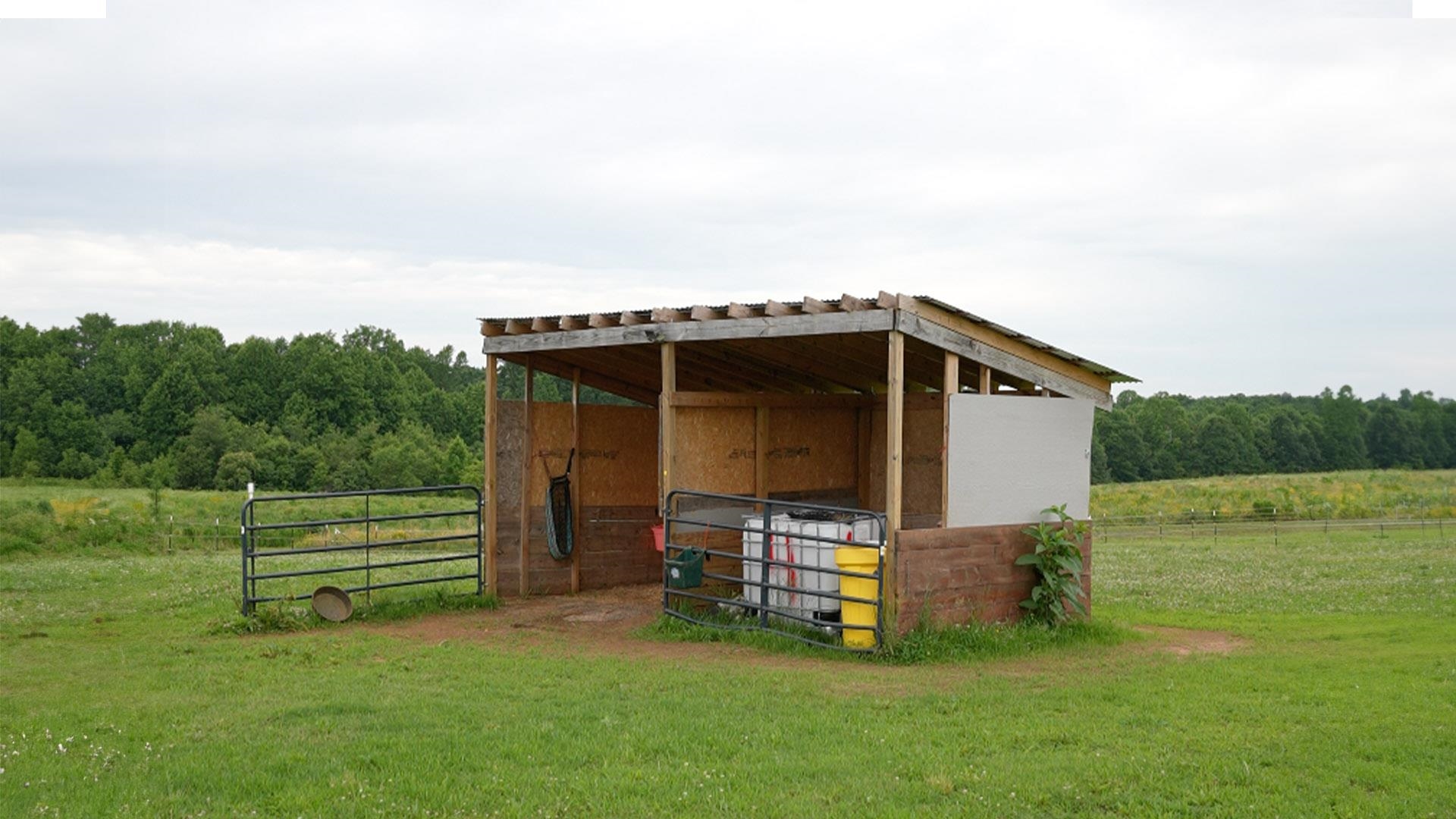 262 Grassy Pond Creek Road Property Photo 26