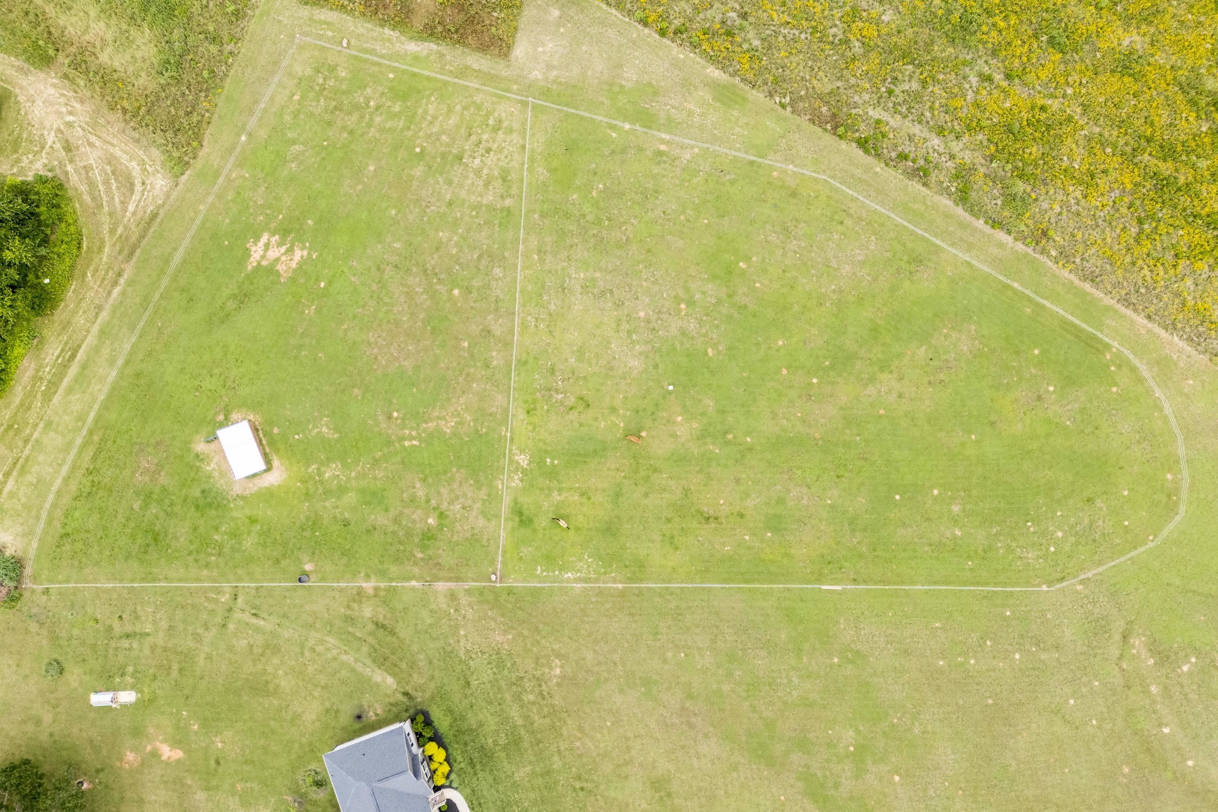 262 Grassy Pond Creek Road Property Photo 28