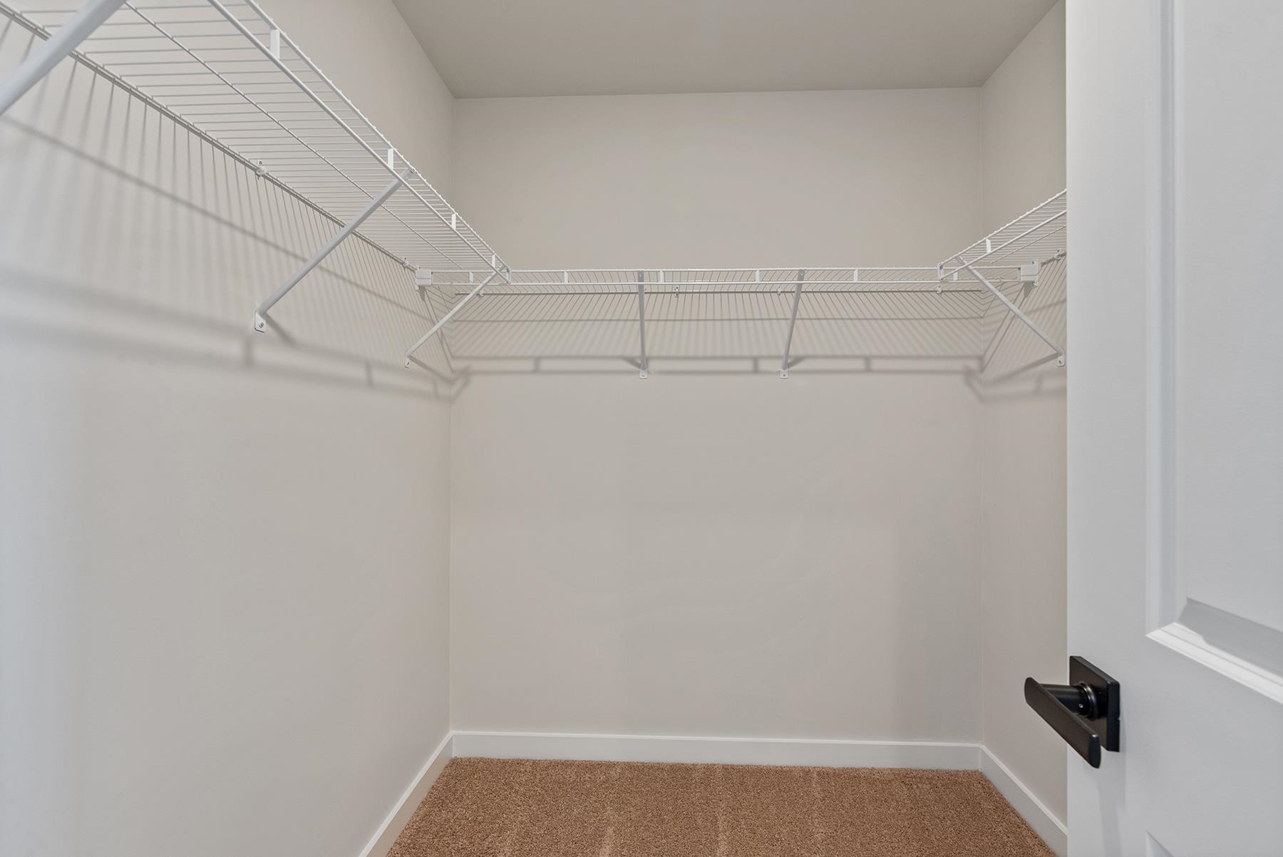 1217 Crested Iris Street Property Photo 18