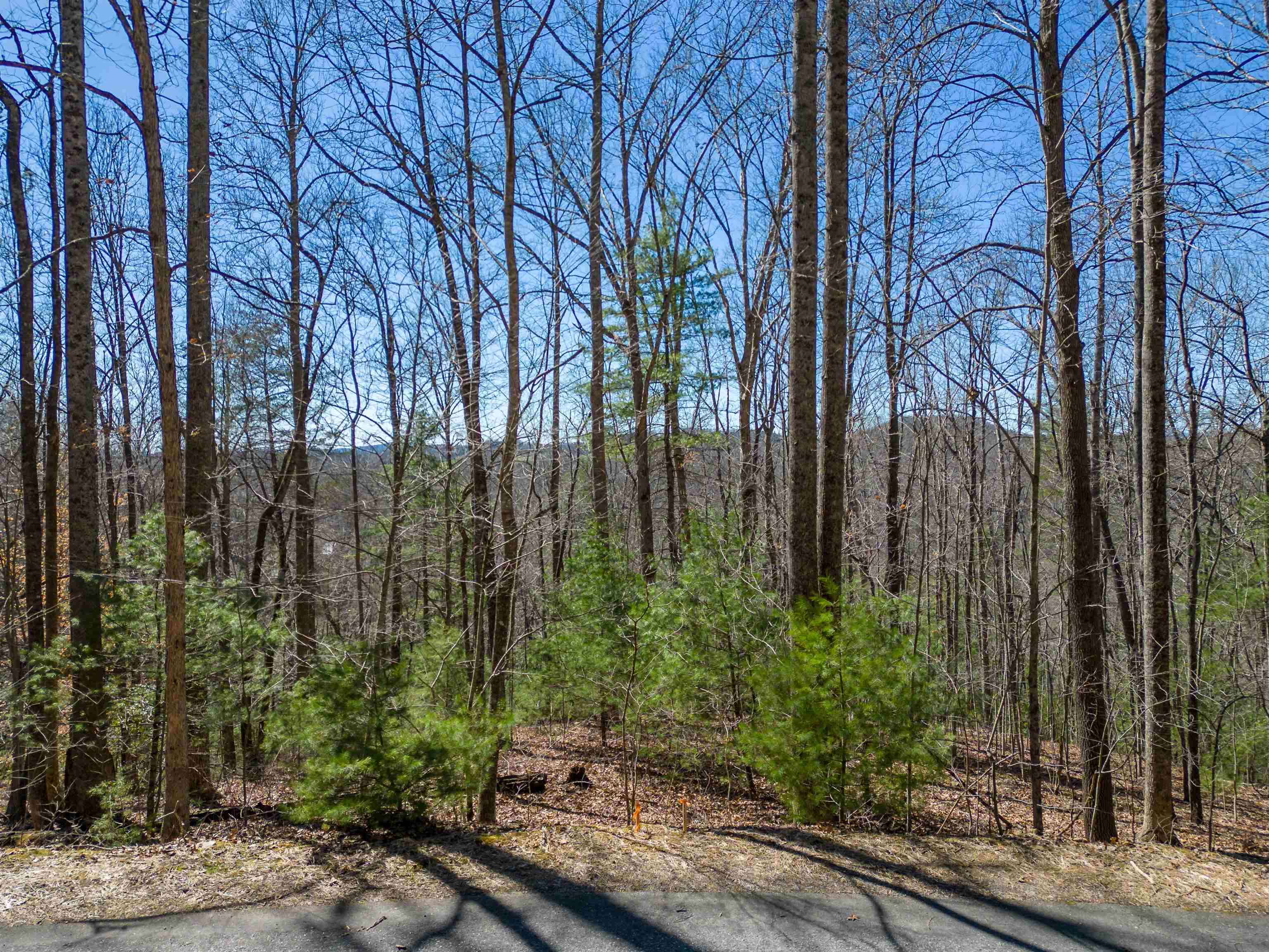 324300 Property Photo 1