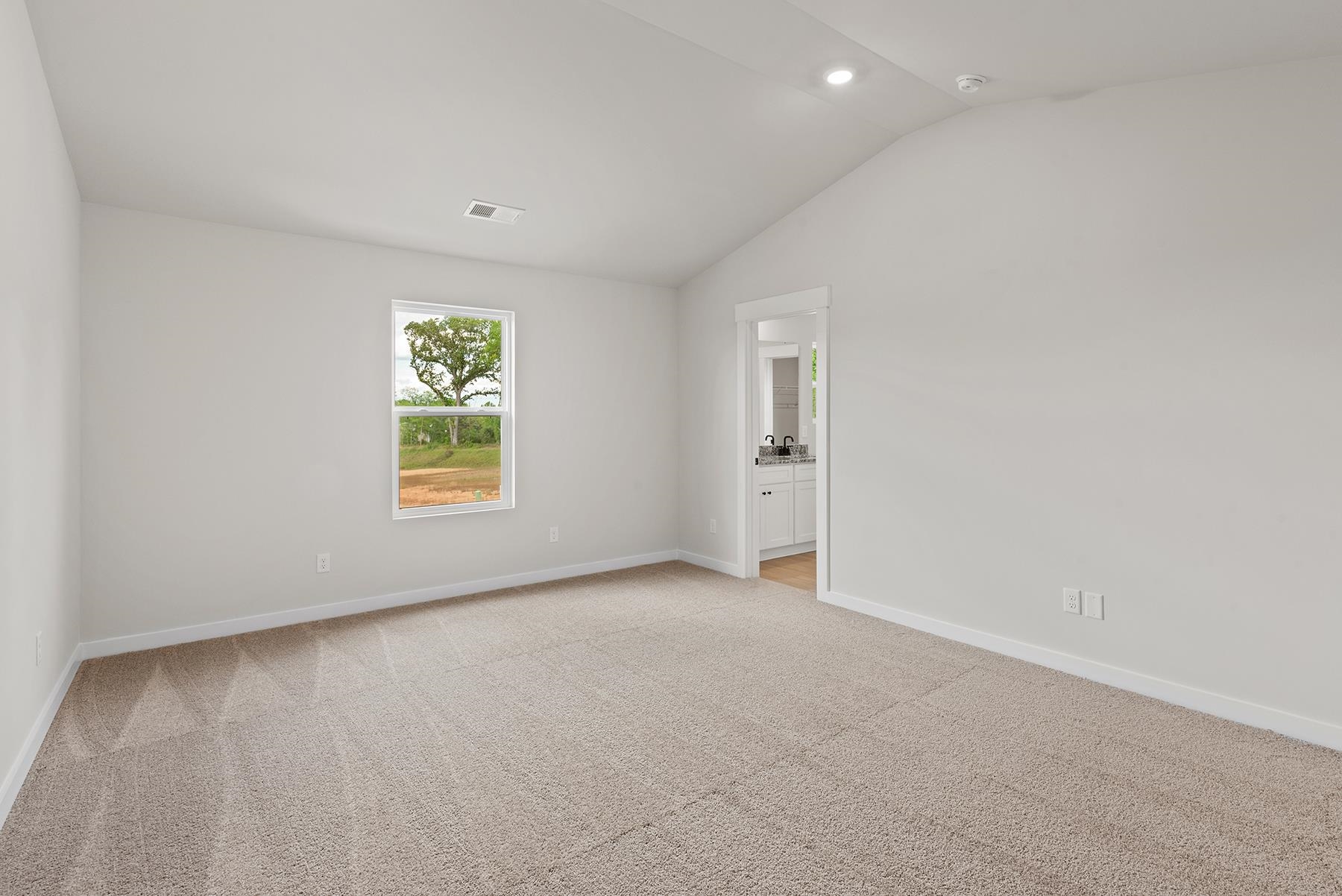 1228 Crested Iris Street Property Photo 13