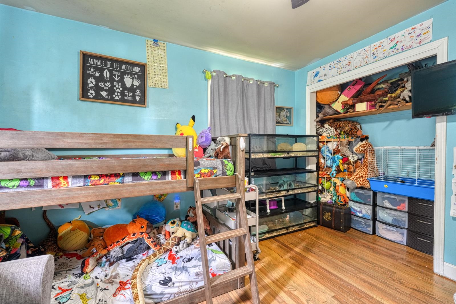 Property Photo 29