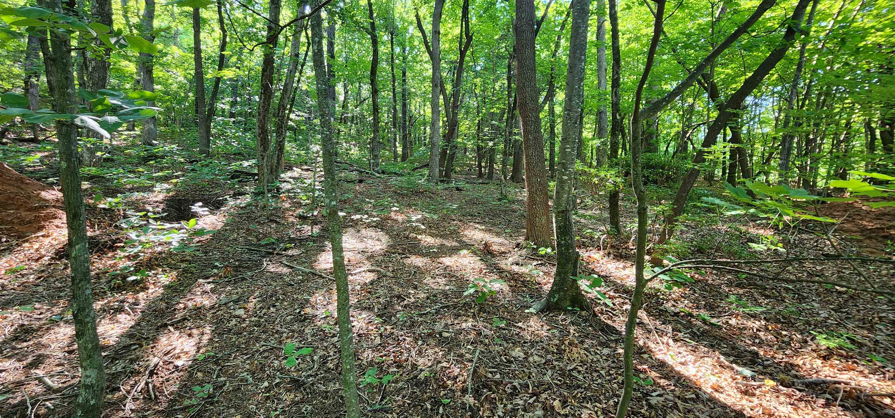 325438 Property Photo 1