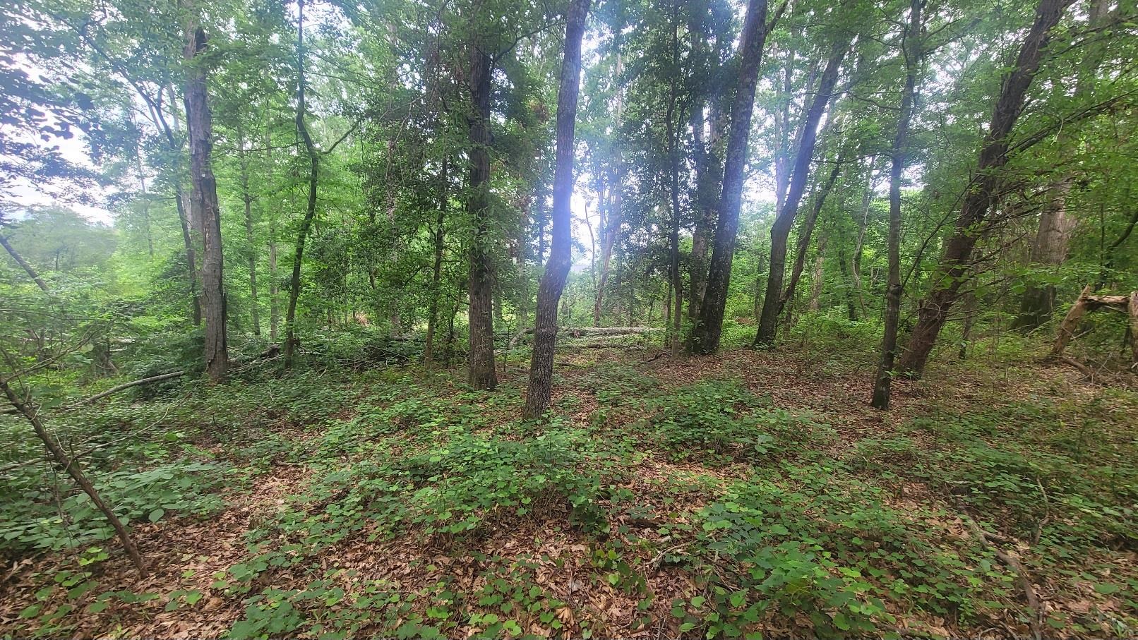 325679 Property Photo 1