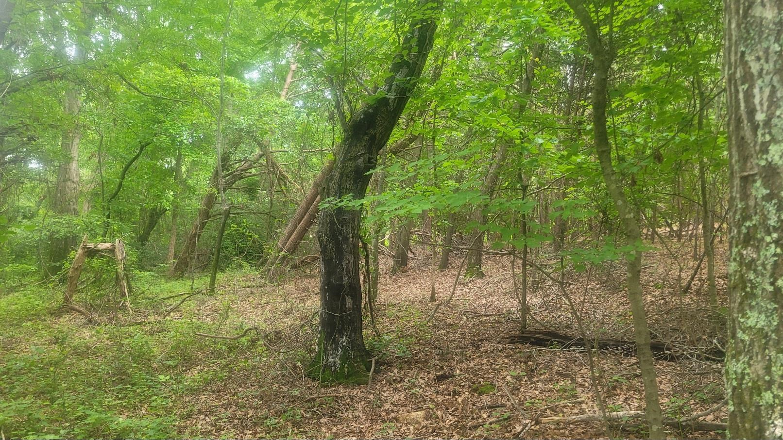 325679 Property Photo 2