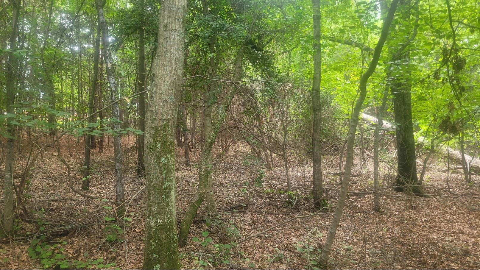 325679 Property Photo 3