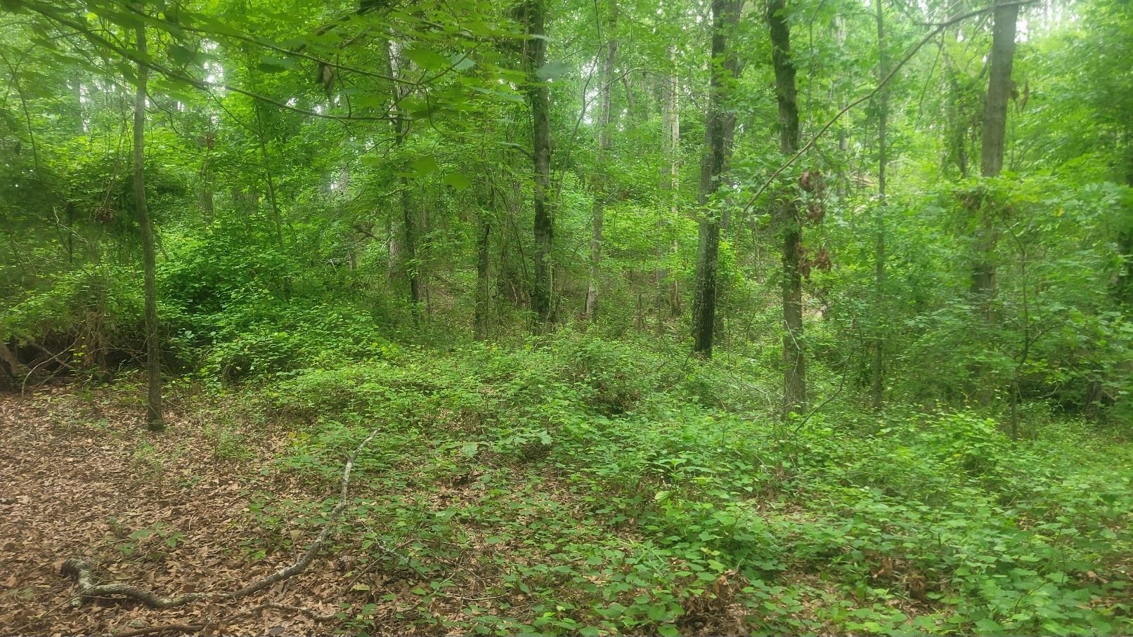 325679 Property Photo 4