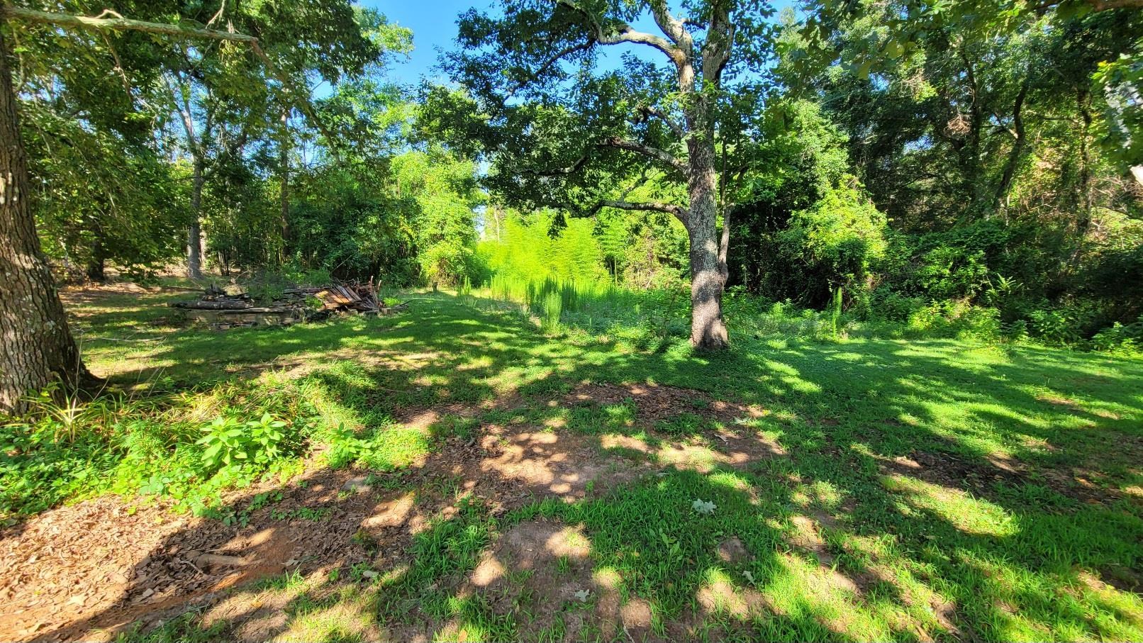 325679 Property Photo 8
