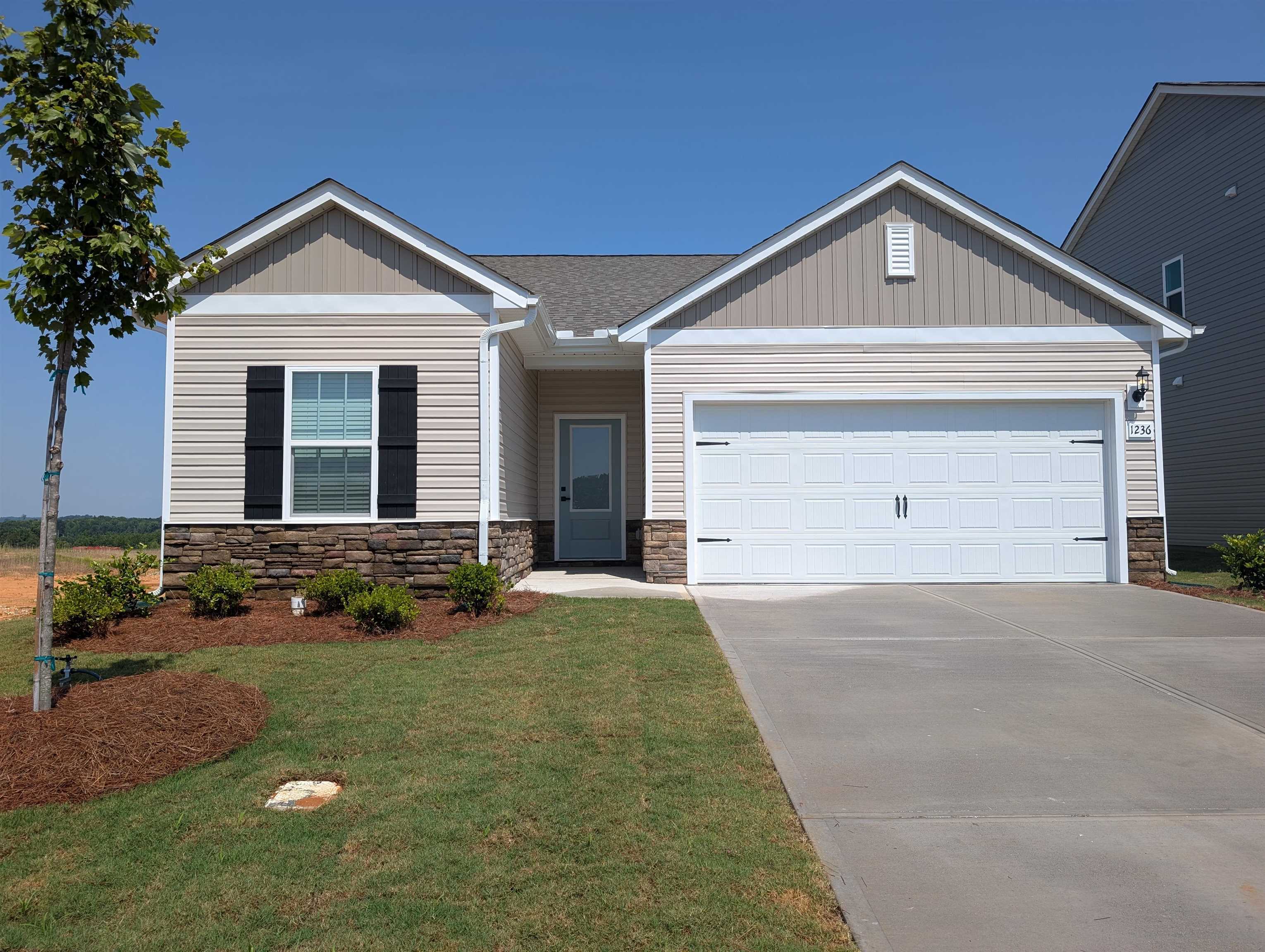 1236 Crested Iris Street Property Photo 1