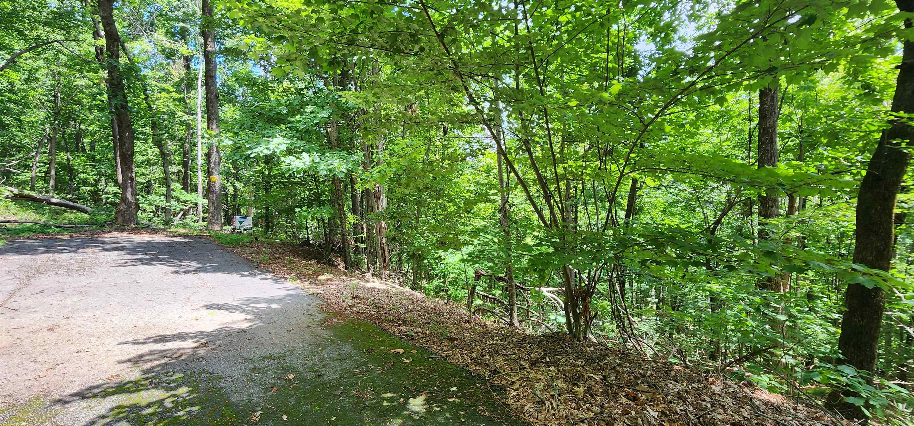 Property Photo 25