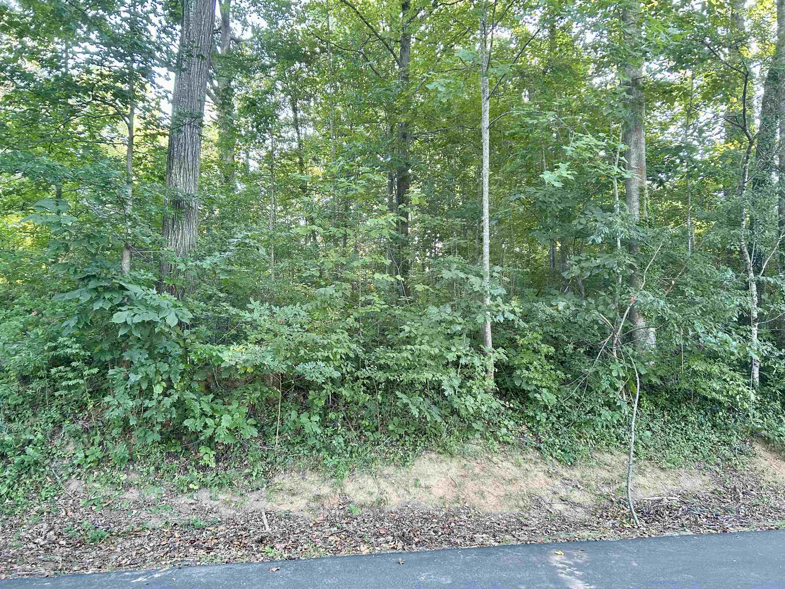 326882 Property Photo 1