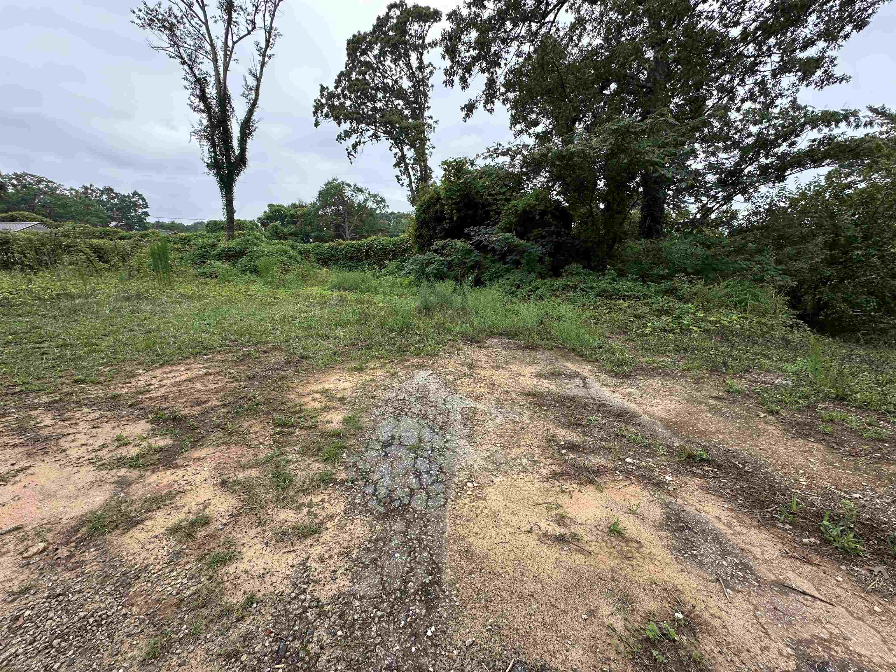 327455 Property Photo 3