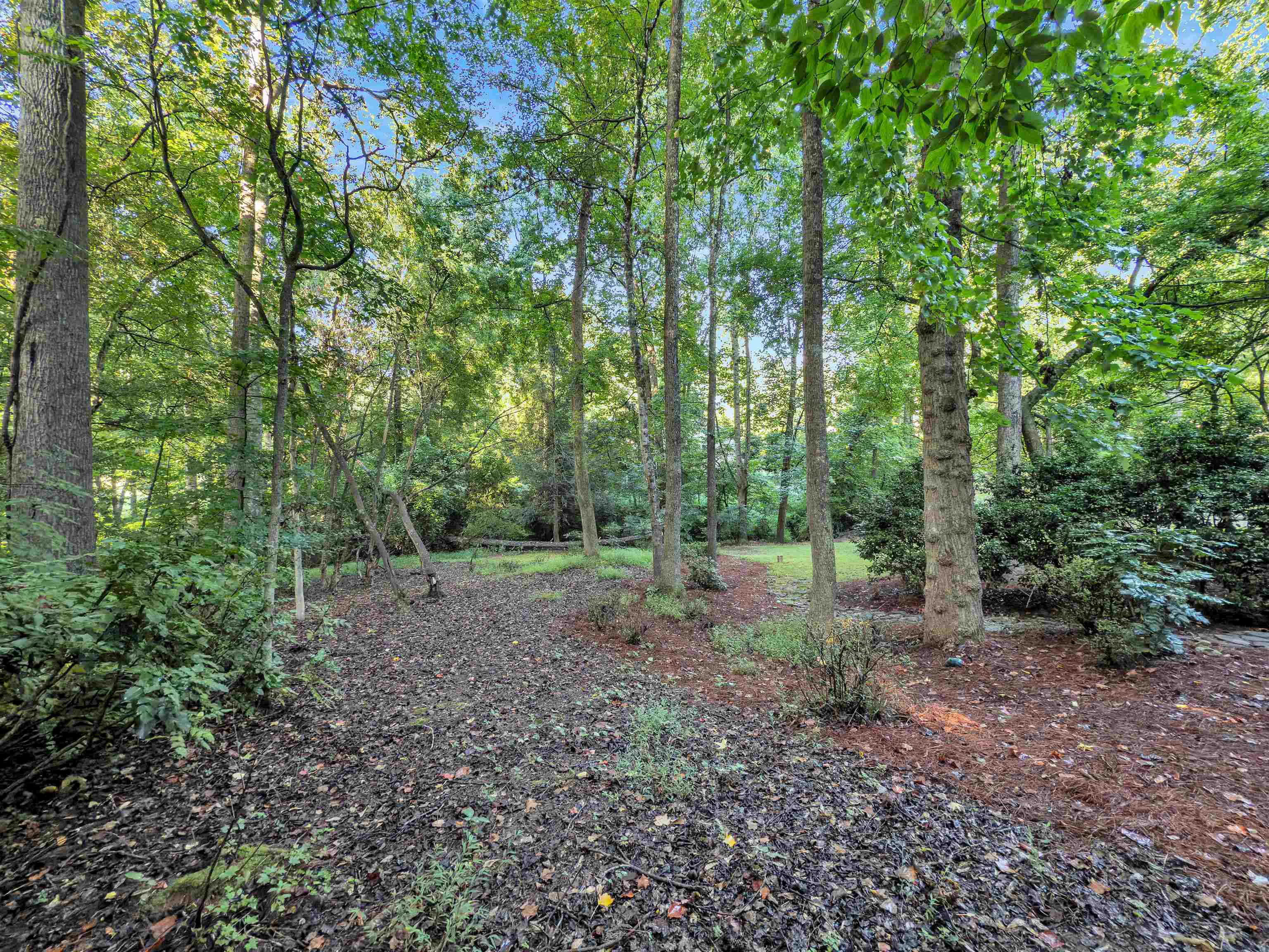 388 Pinehurst Drive Property Photo 43