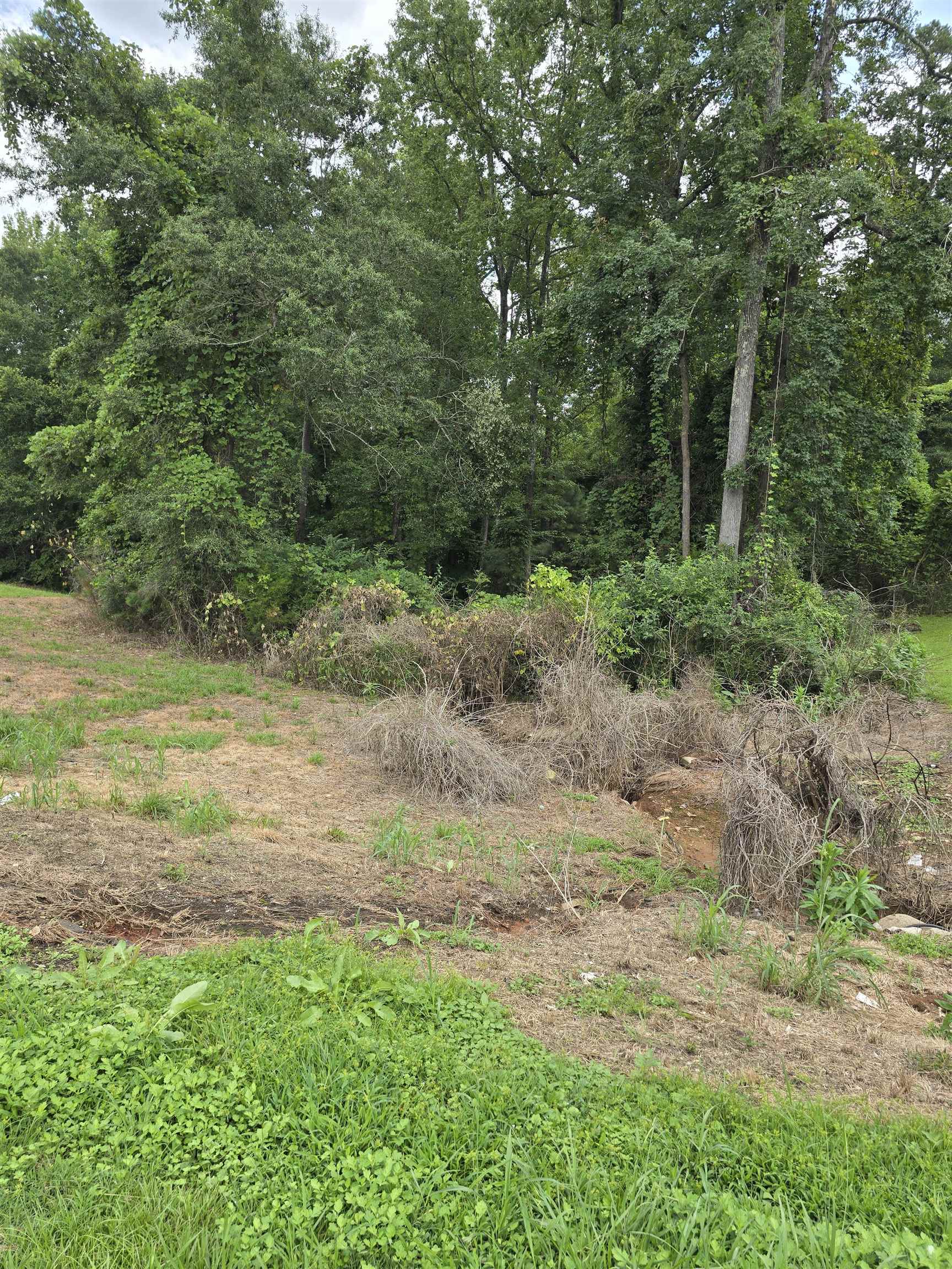 327741 Property Photo 2