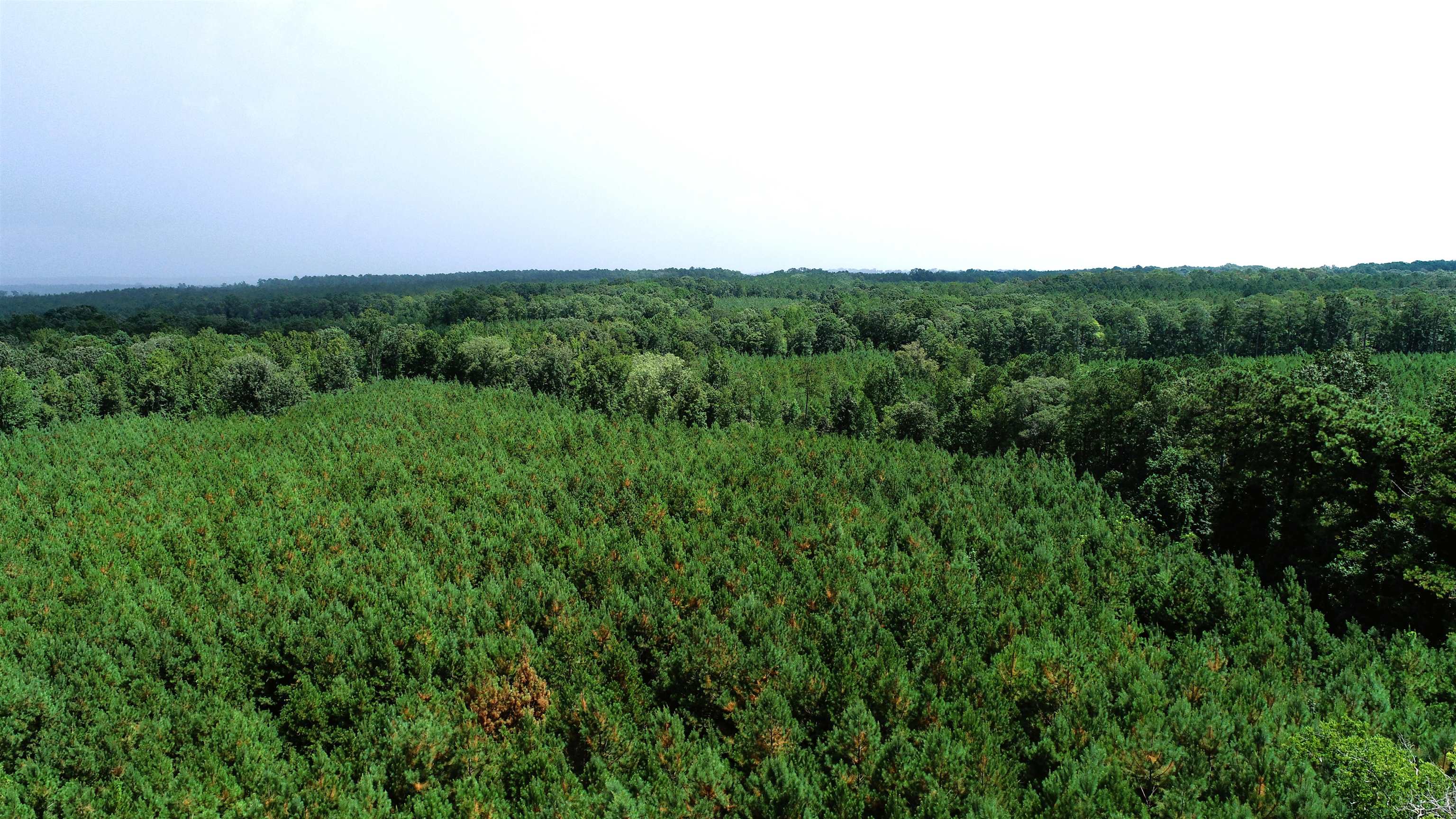 327798 Property Photo 1