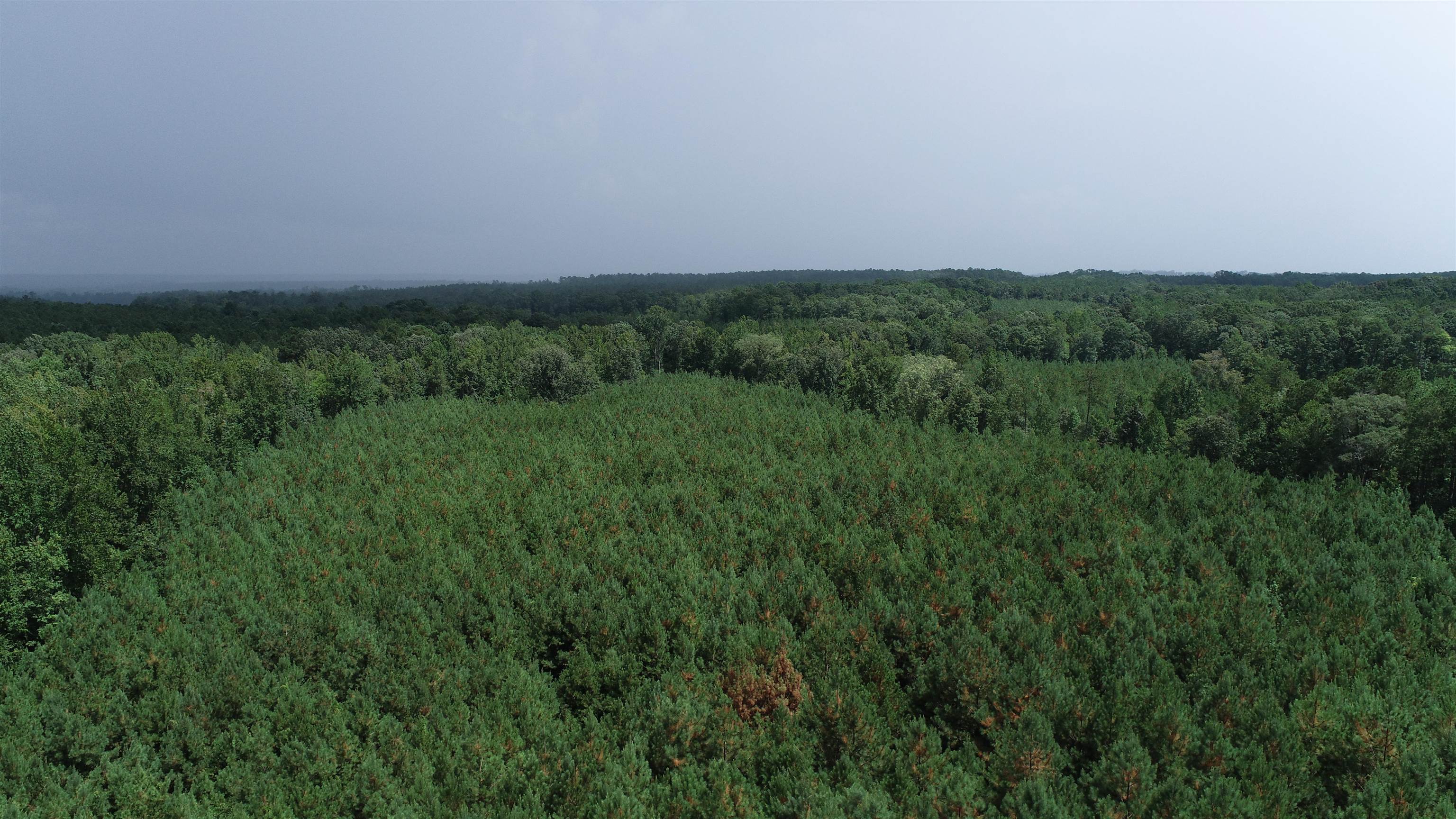 327798 Property Photo 2