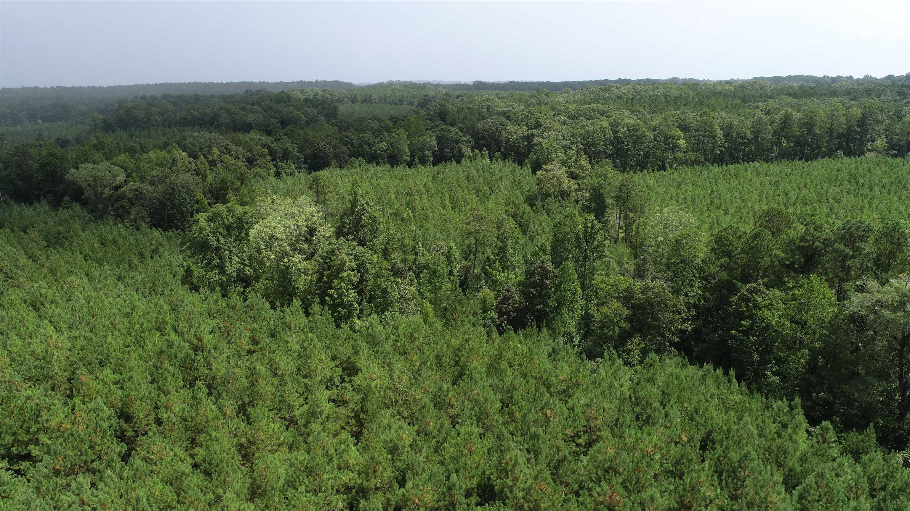 327798 Property Photo 3