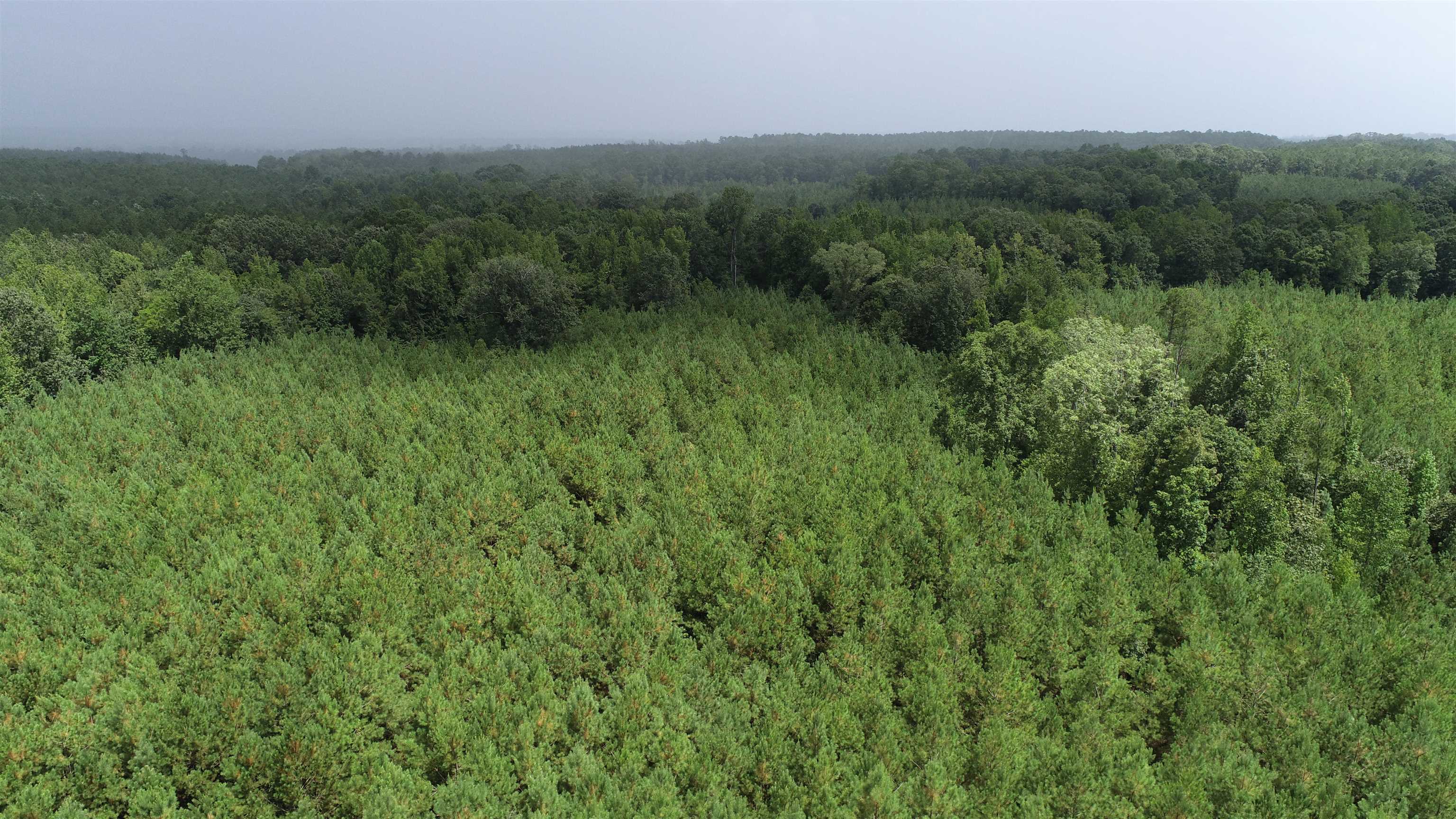 327798 Property Photo 4