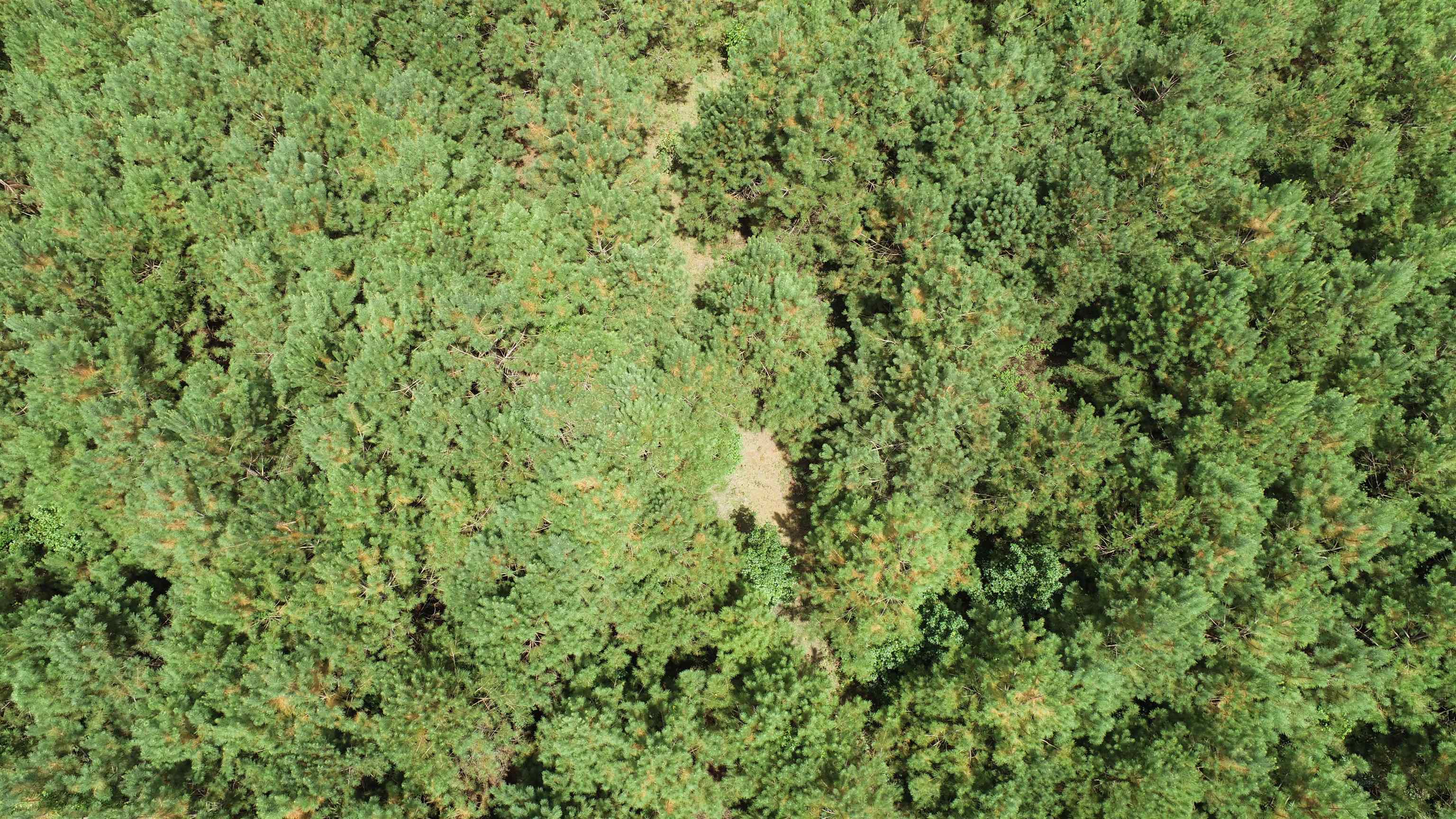 327798 Property Photo 5