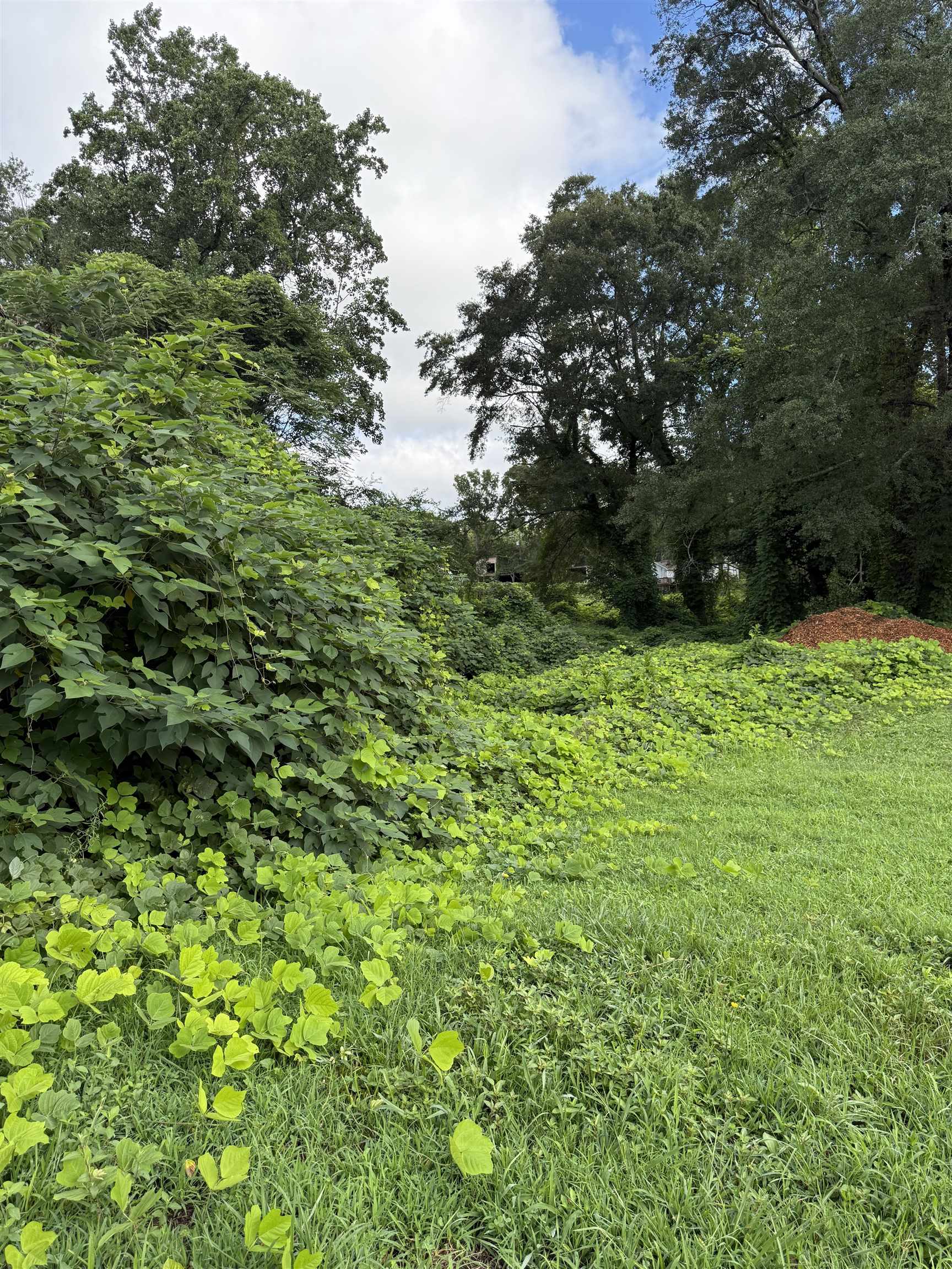 327816 Property Photo 1