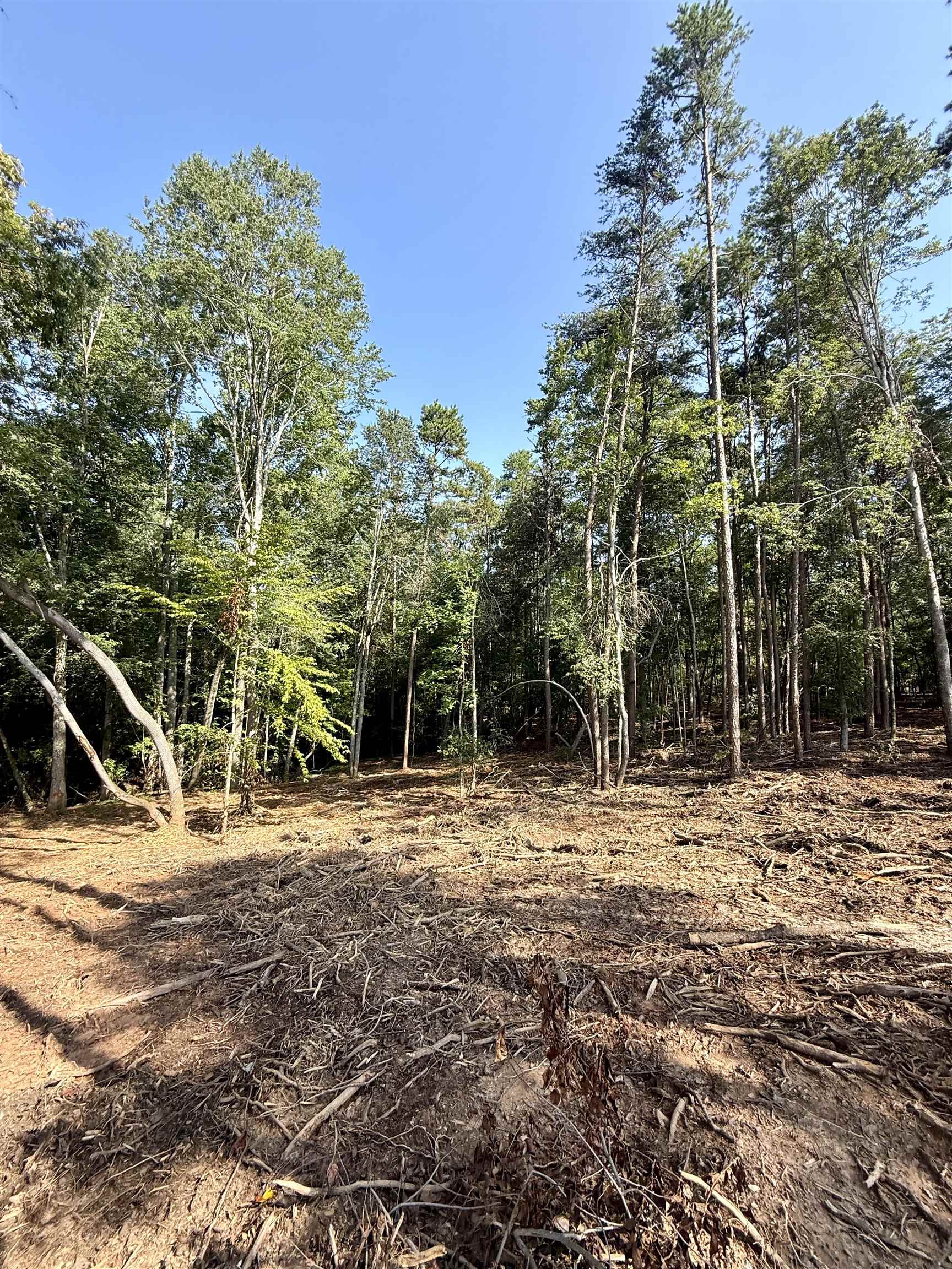 327908 Property Photo 4