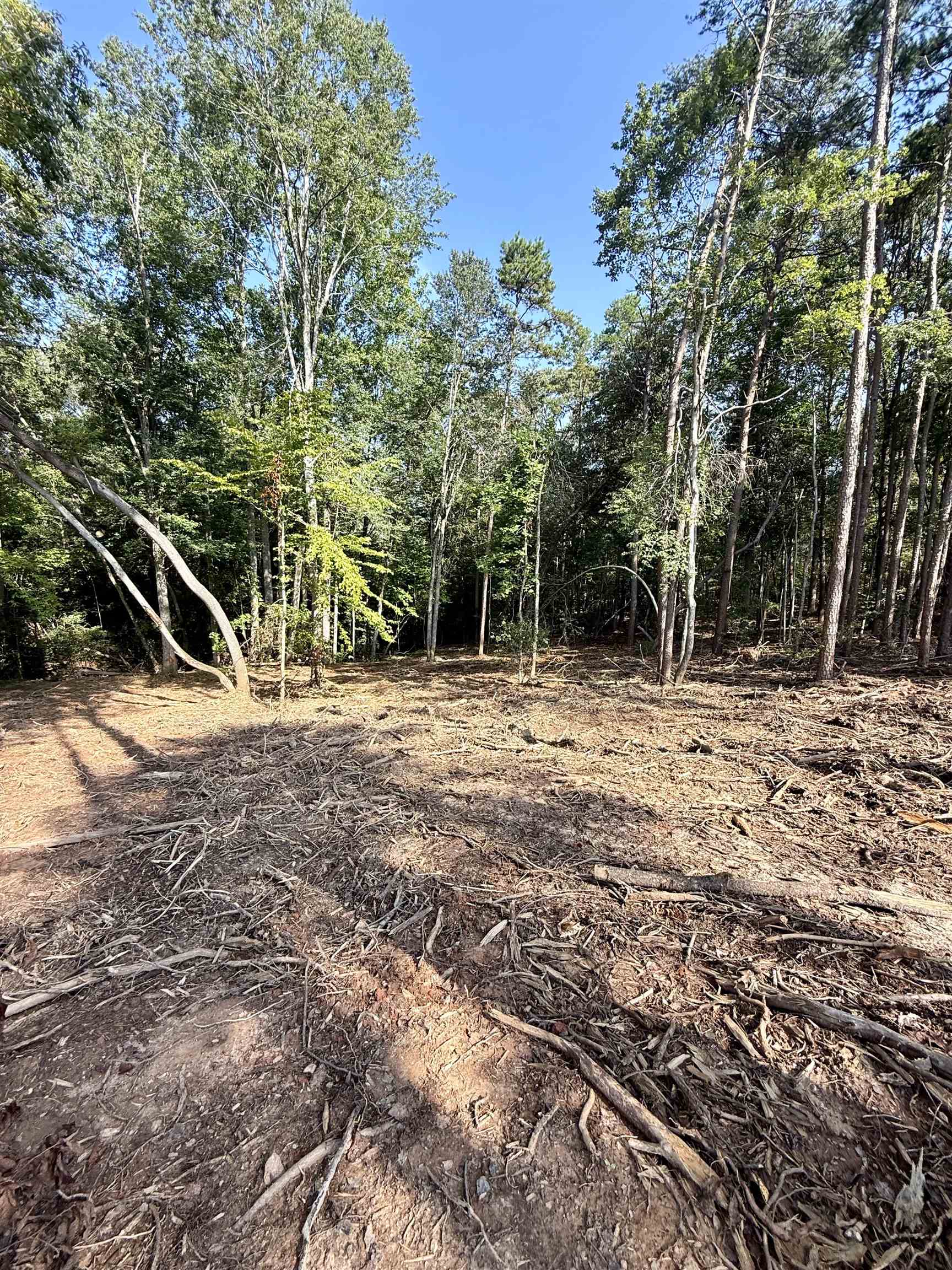 327908 Property Photo 5