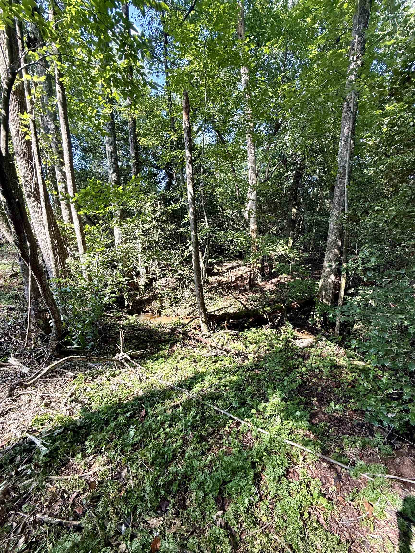 327908 Property Photo 7