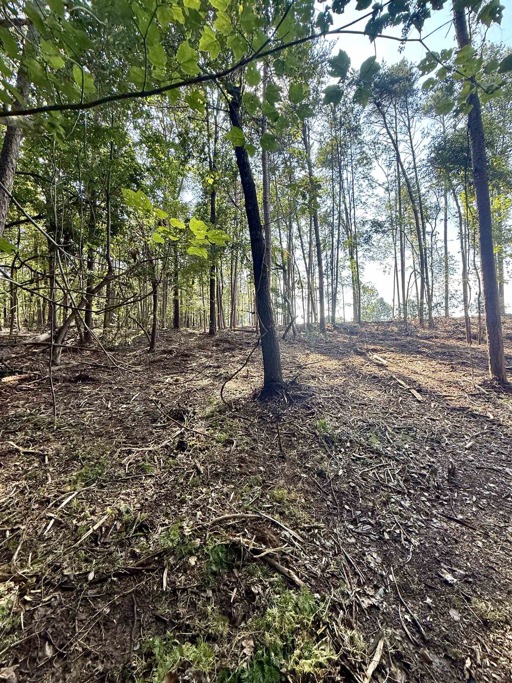 327908 Property Photo 8