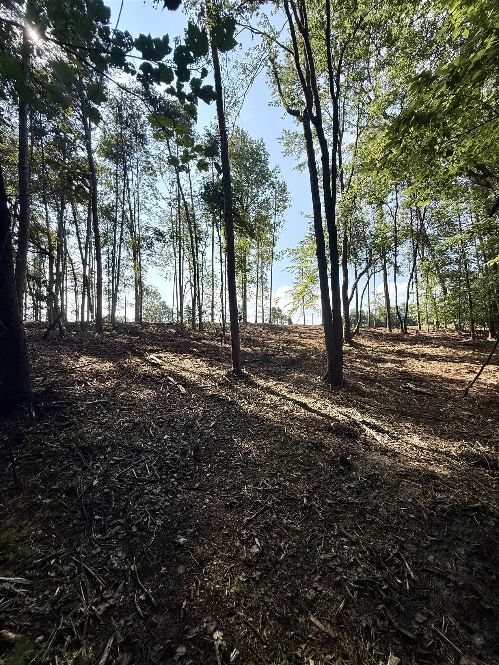 327908 Property Photo 9