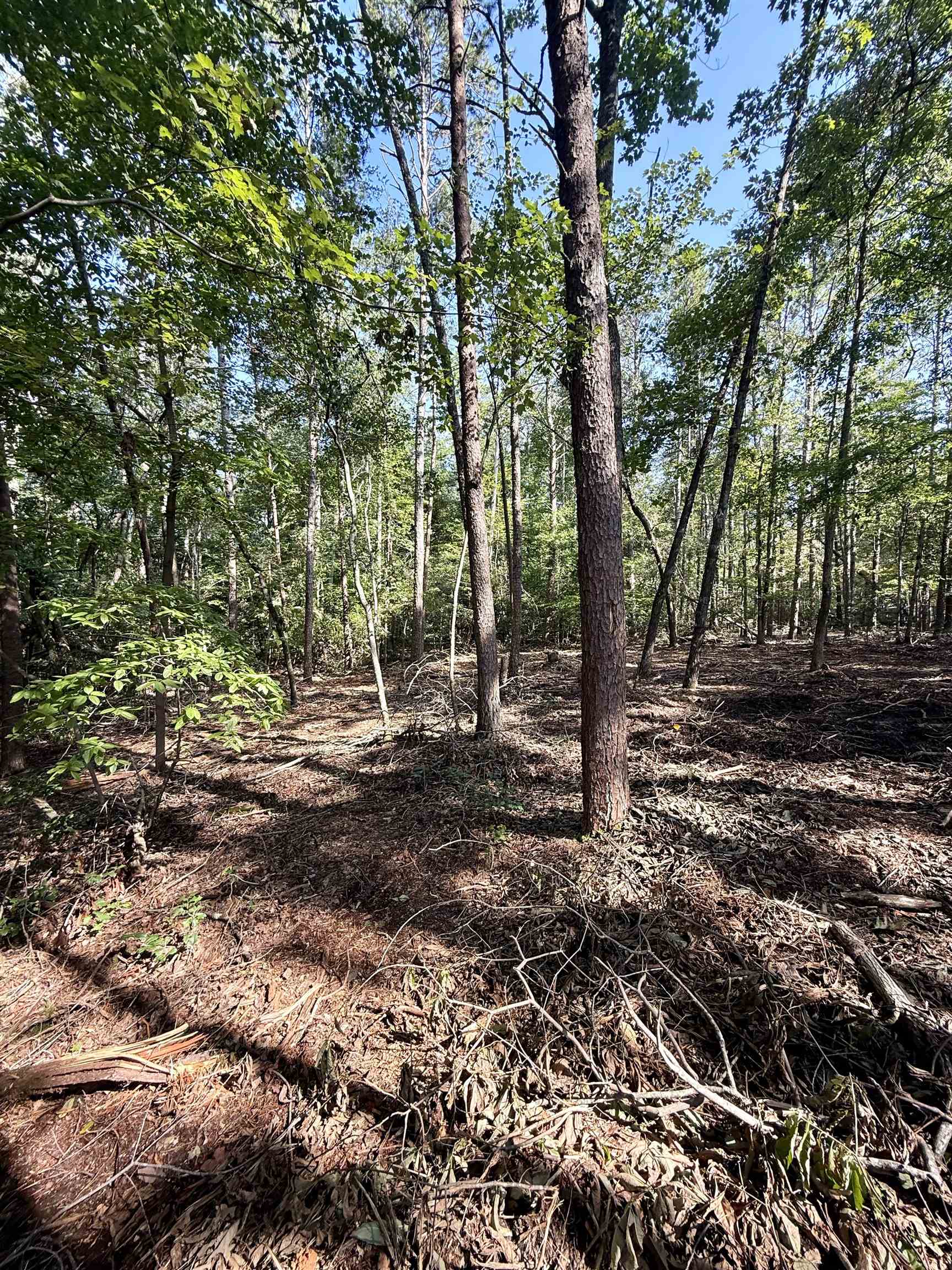 327908 Property Photo 11