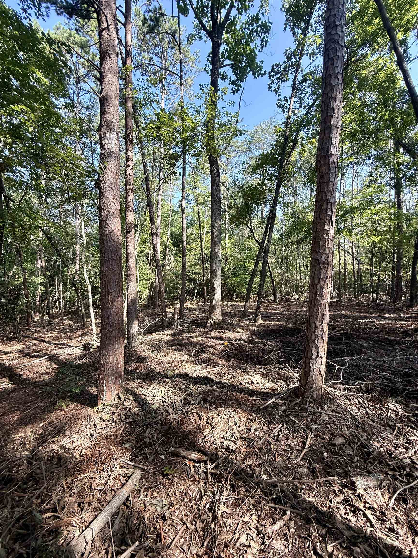 327908 Property Photo 12