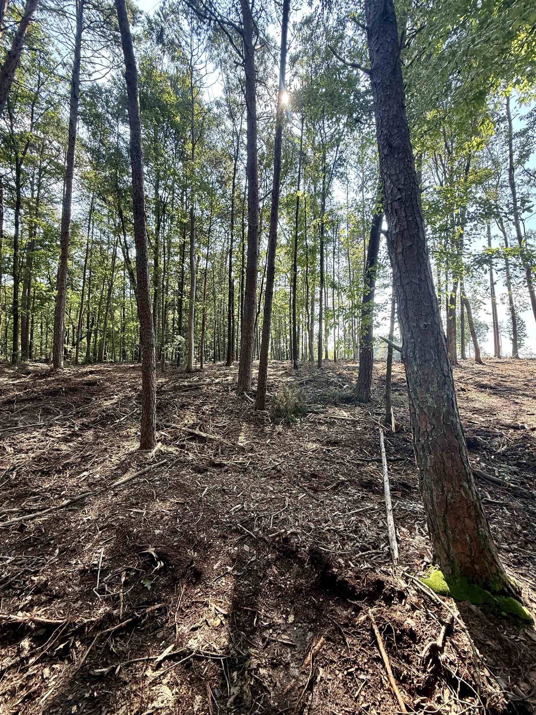 327908 Property Photo 13