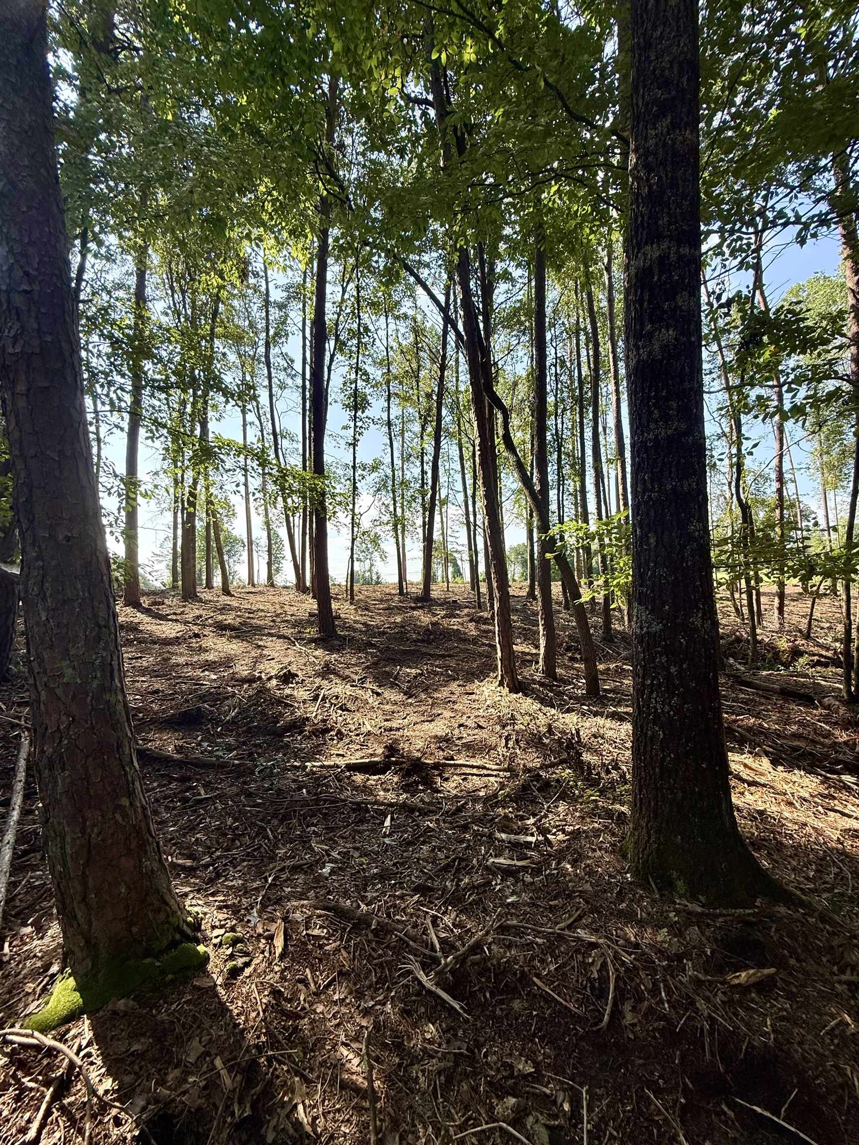 327908 Property Photo 14