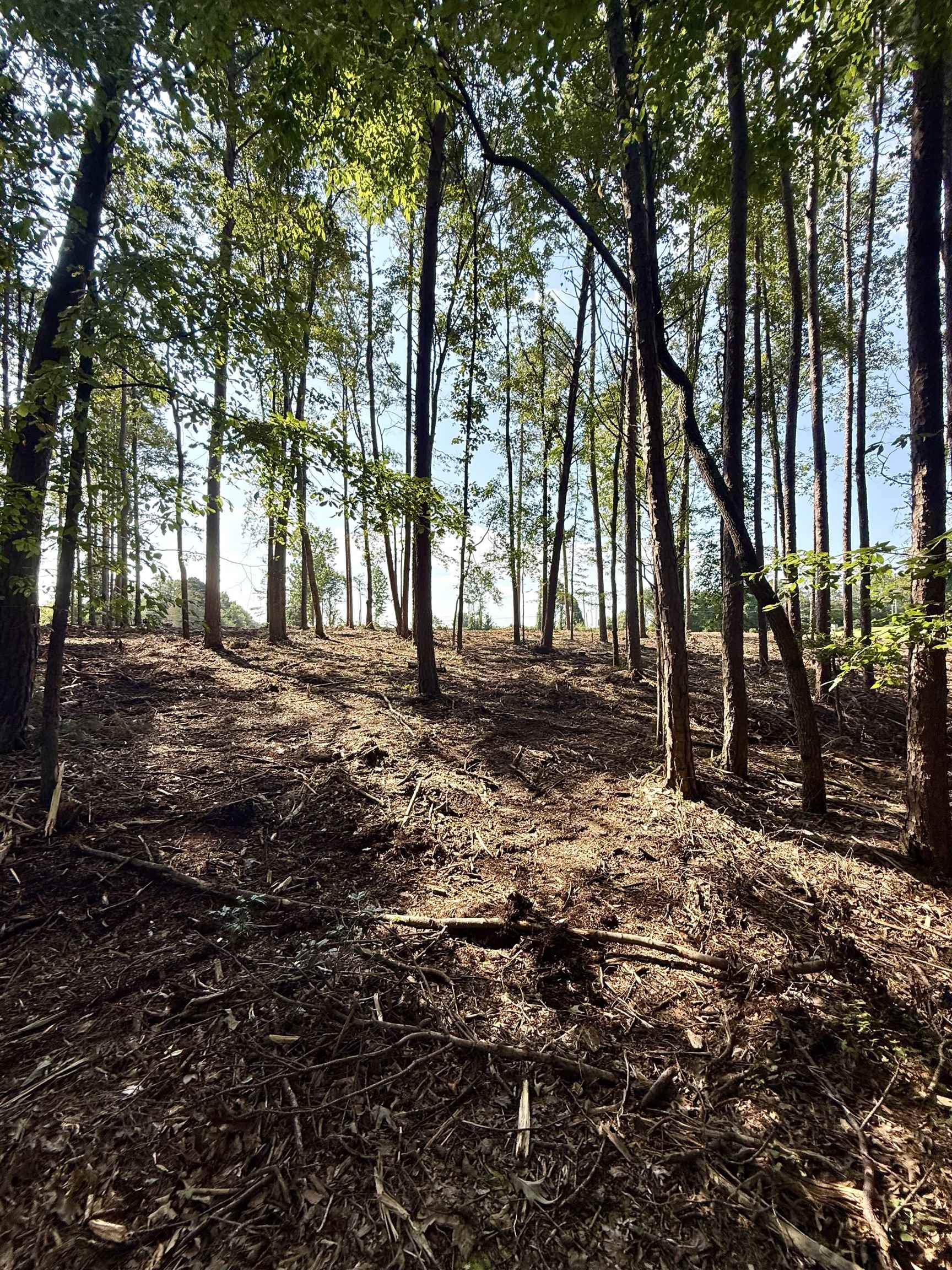 327908 Property Photo 15