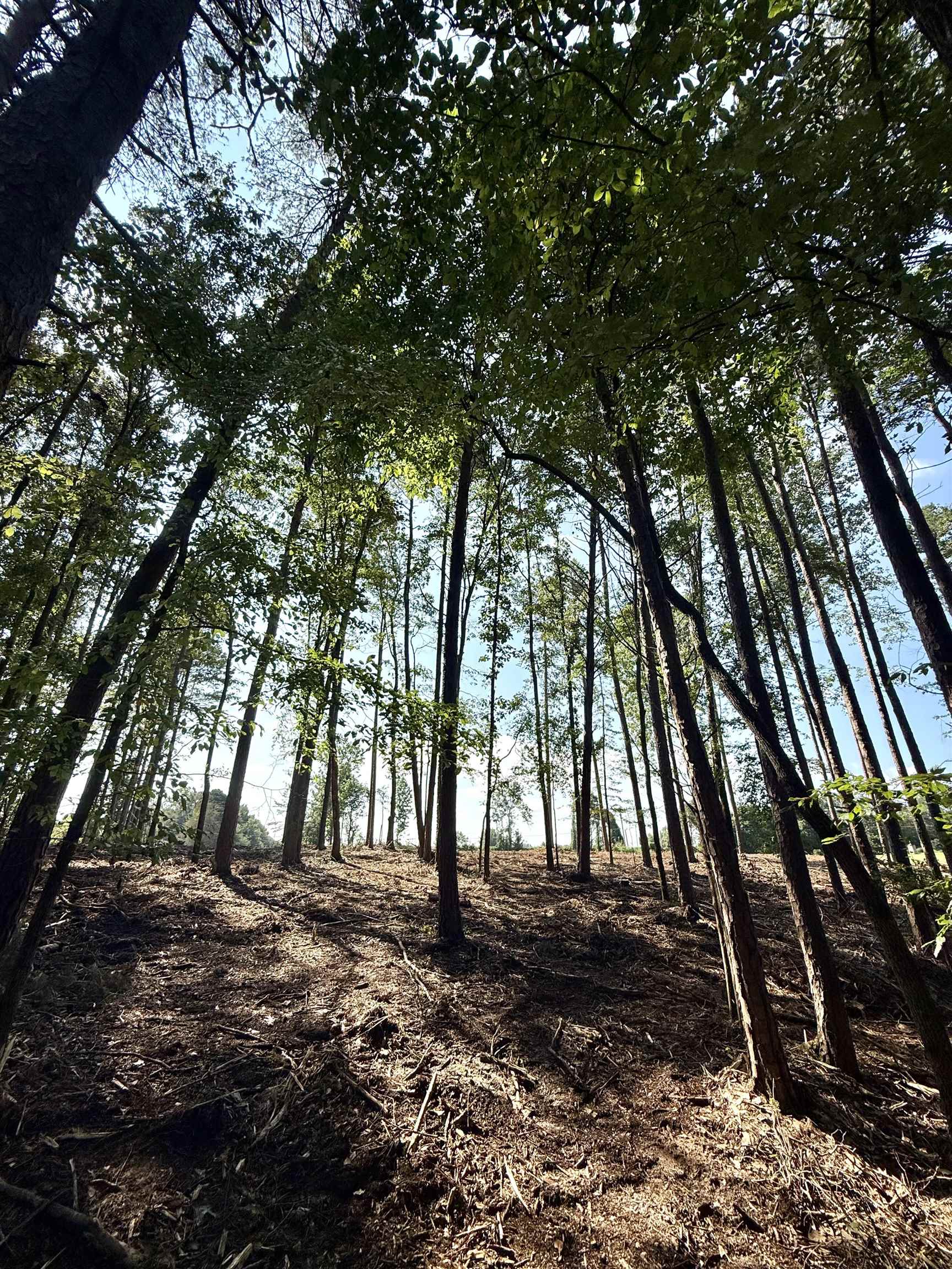 327908 Property Photo 16