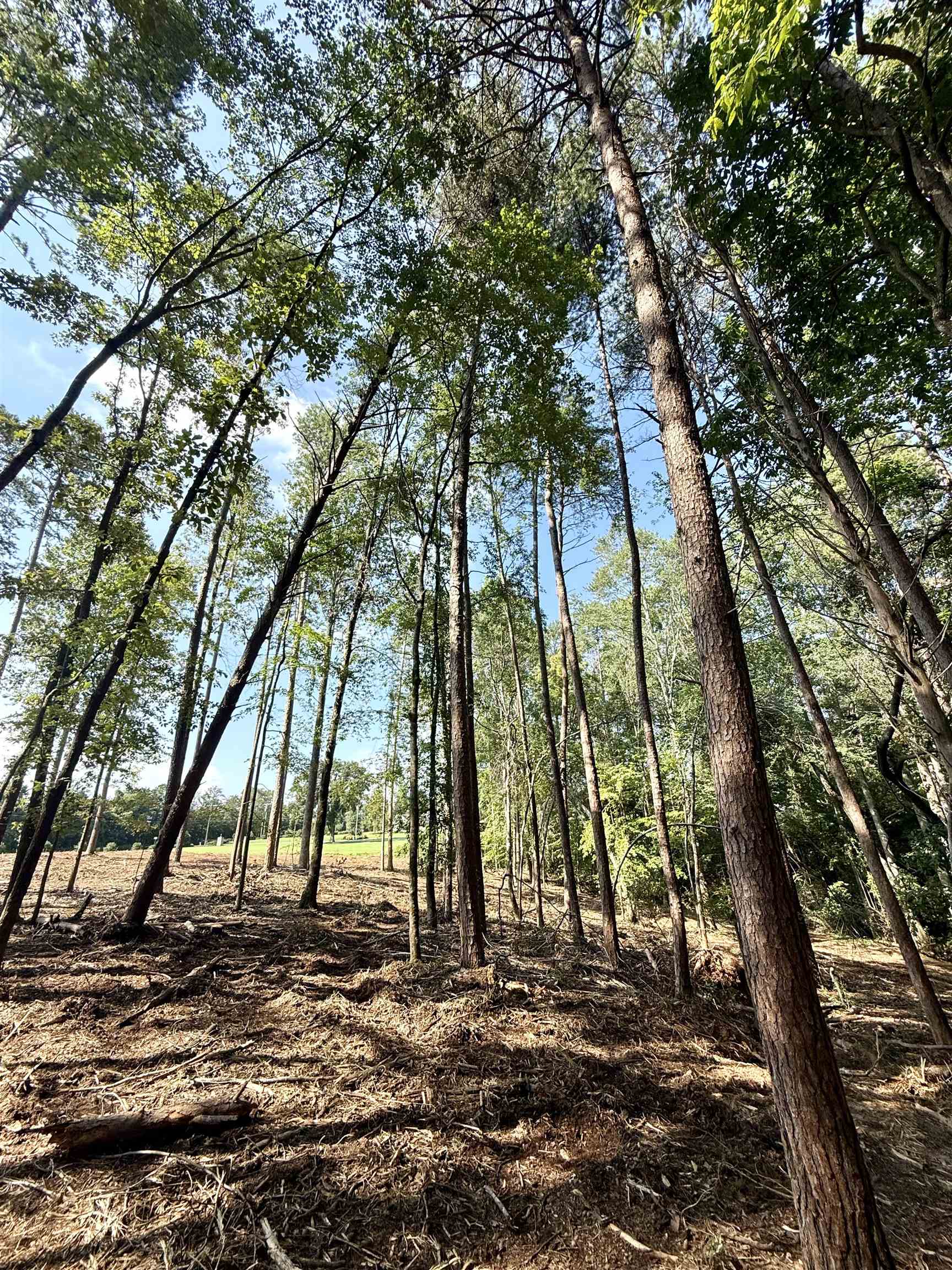 327908 Property Photo 18