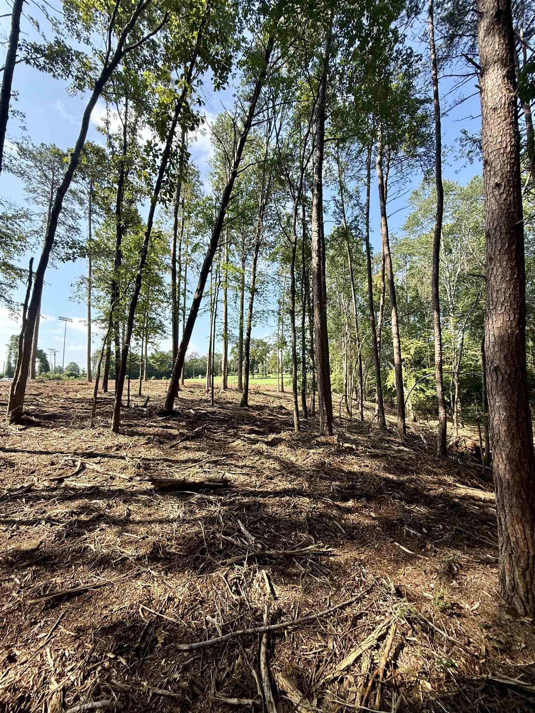 327908 Property Photo 19