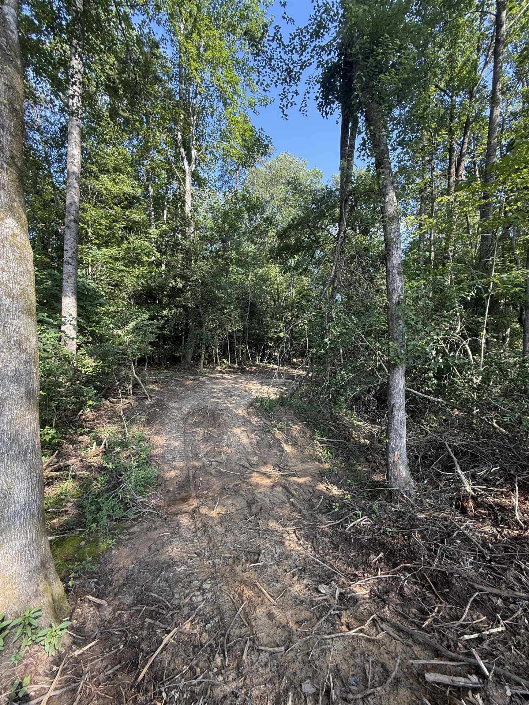 327908 Property Photo 20