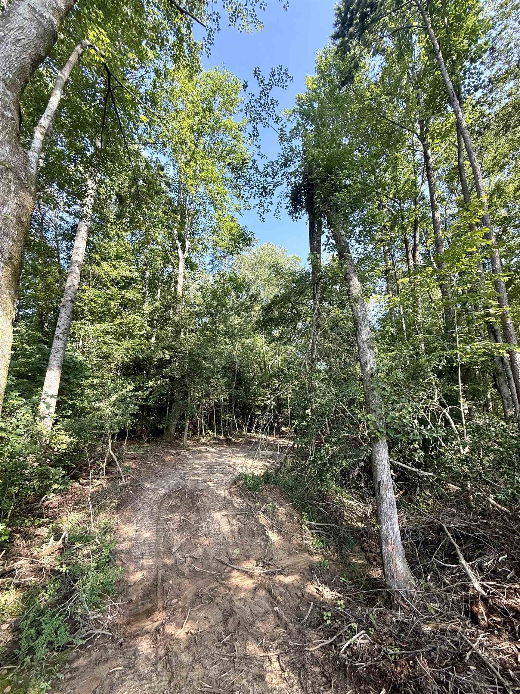 327908 Property Photo 21